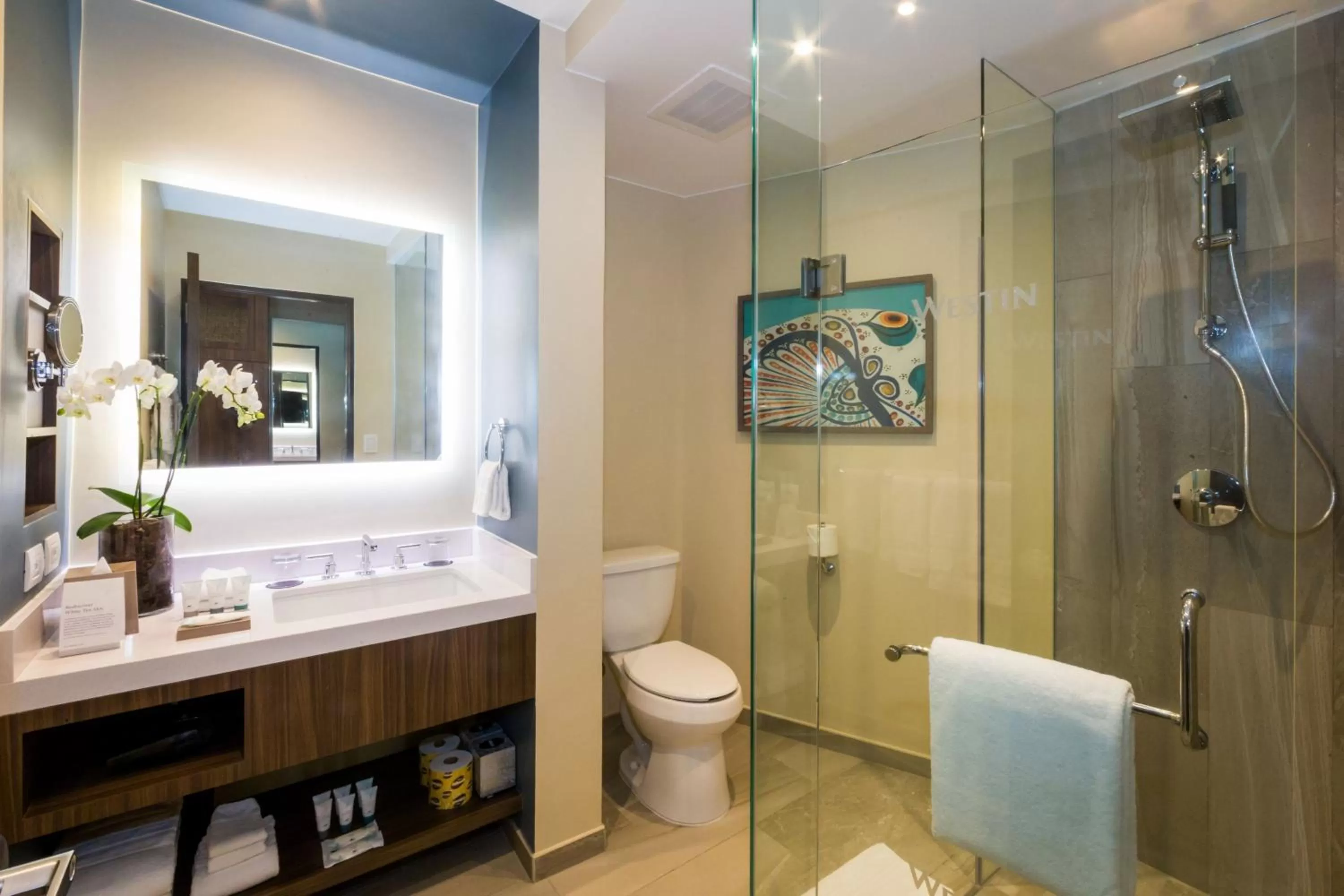 Bathroom in The Westin Los Cabos Resort Villas