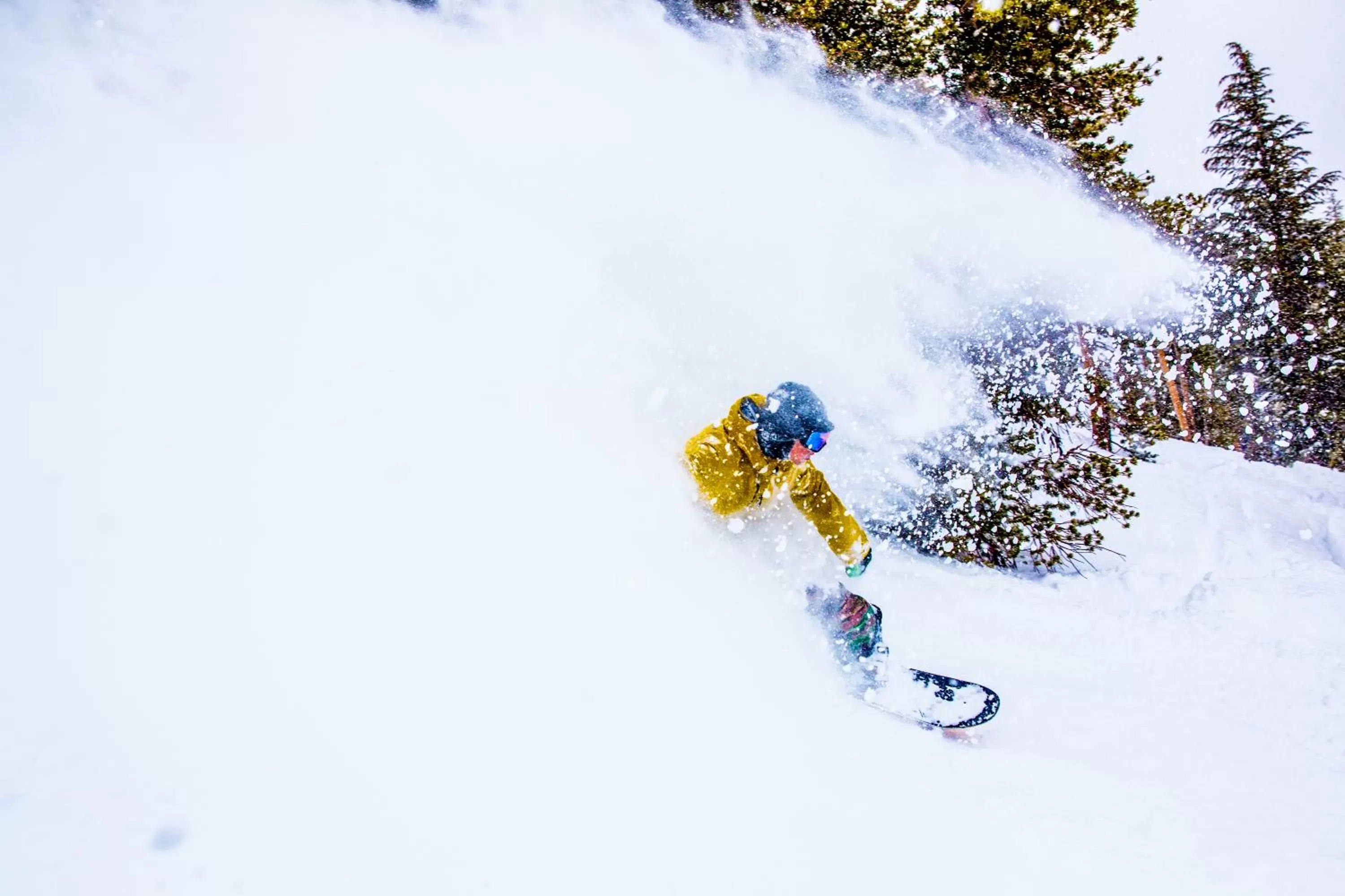 Day in The Village Lodge