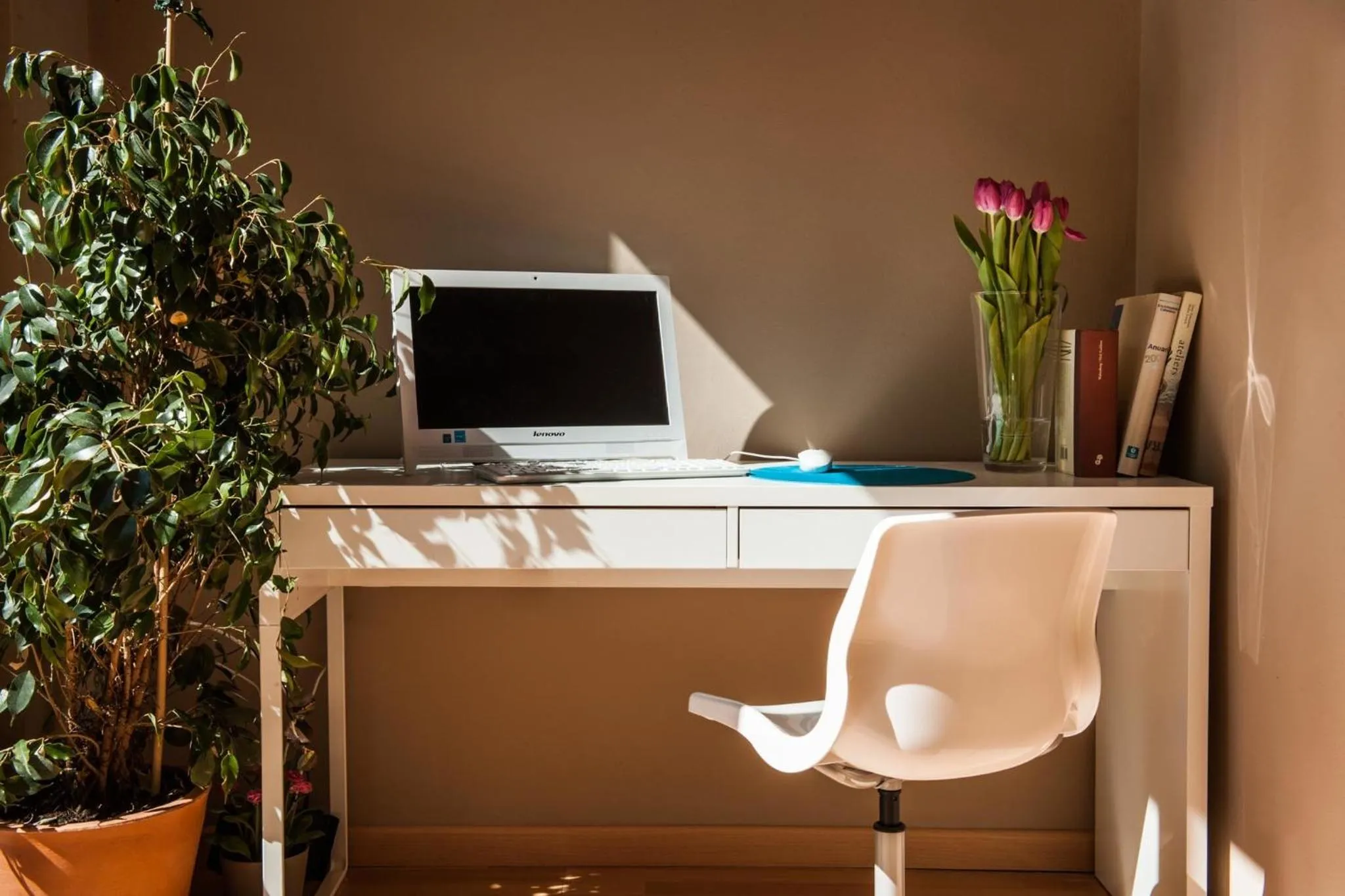Library in Born Barcelona Hostel