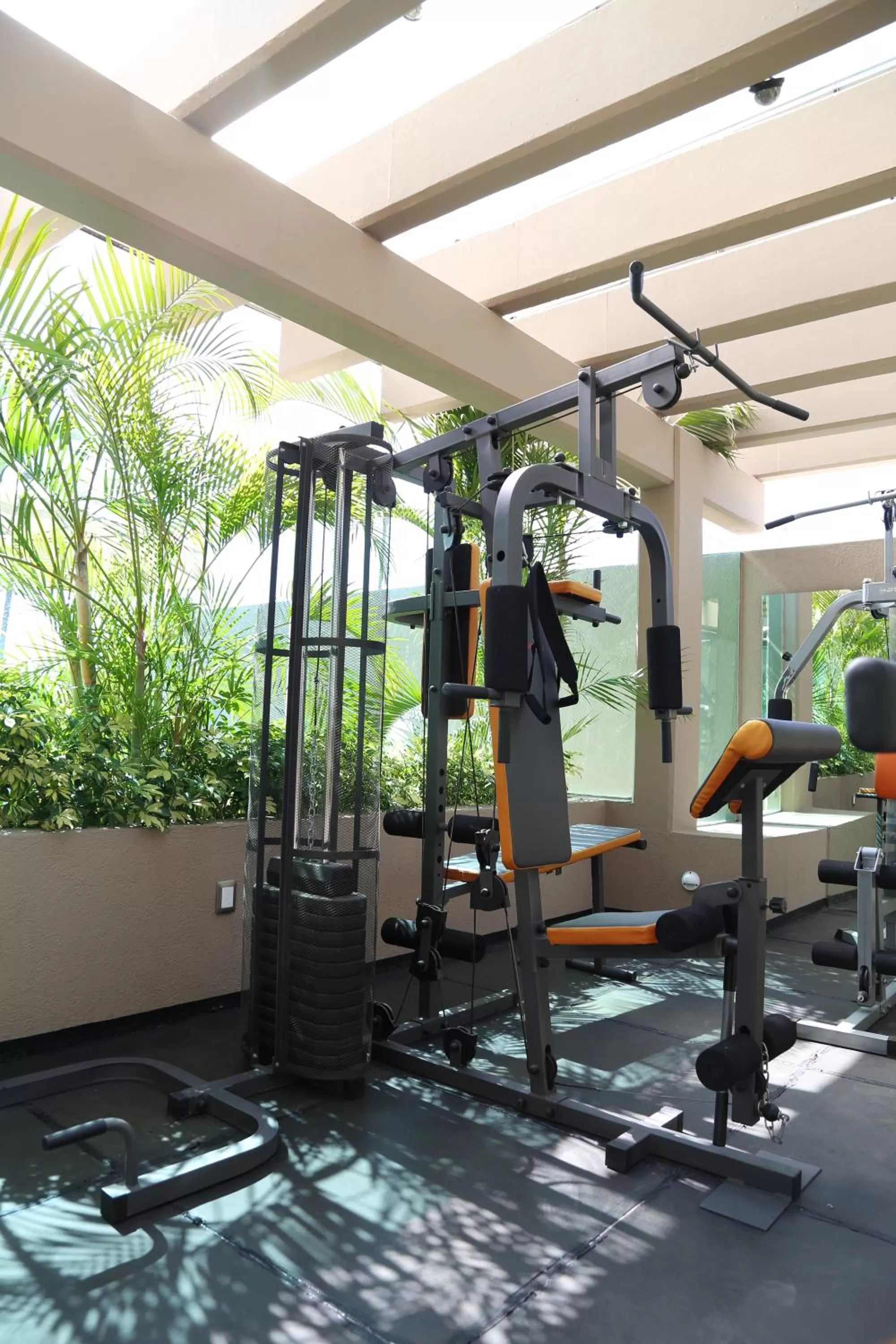 Fitness centre/facilities in Mesón Ejecutivo Guadalajara Minerva - Av México