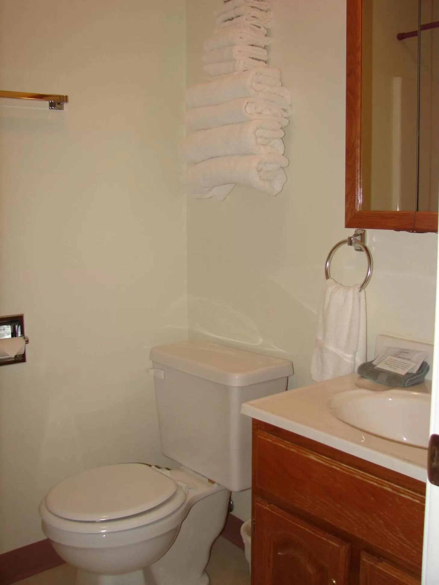 Bathroom in Mountain View Motor Inn