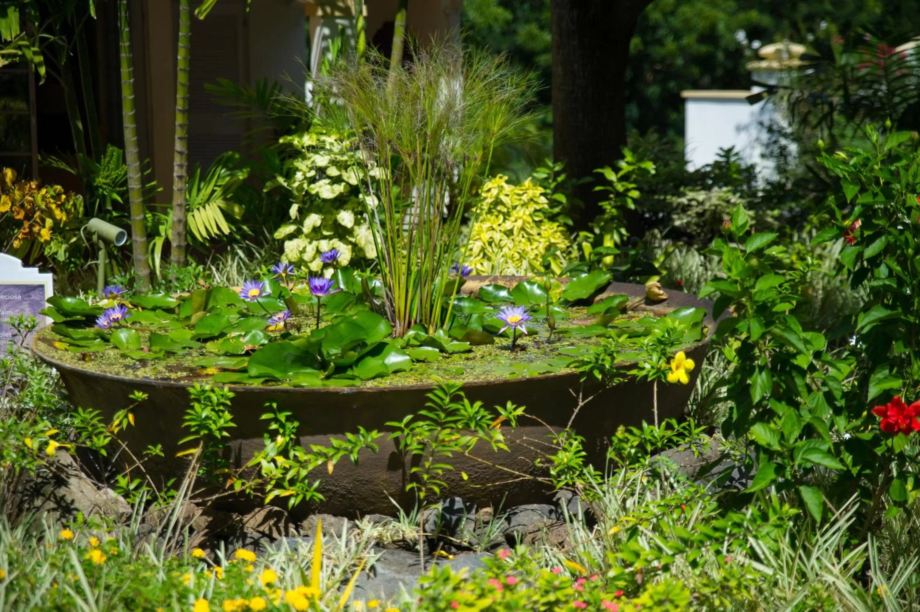 On site in Blue Horizons Garden Resort