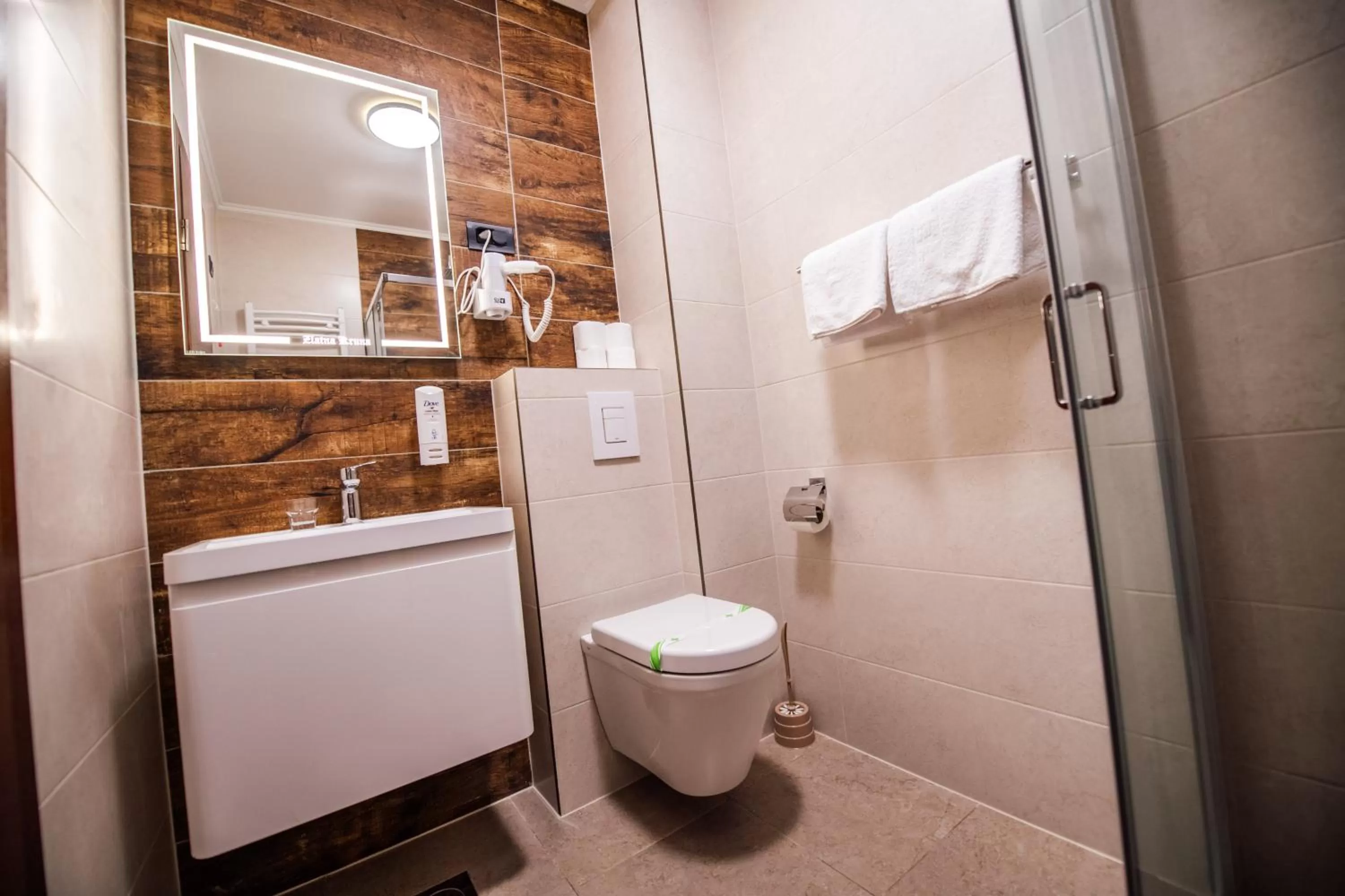 Bathroom in Zlatna Kruna