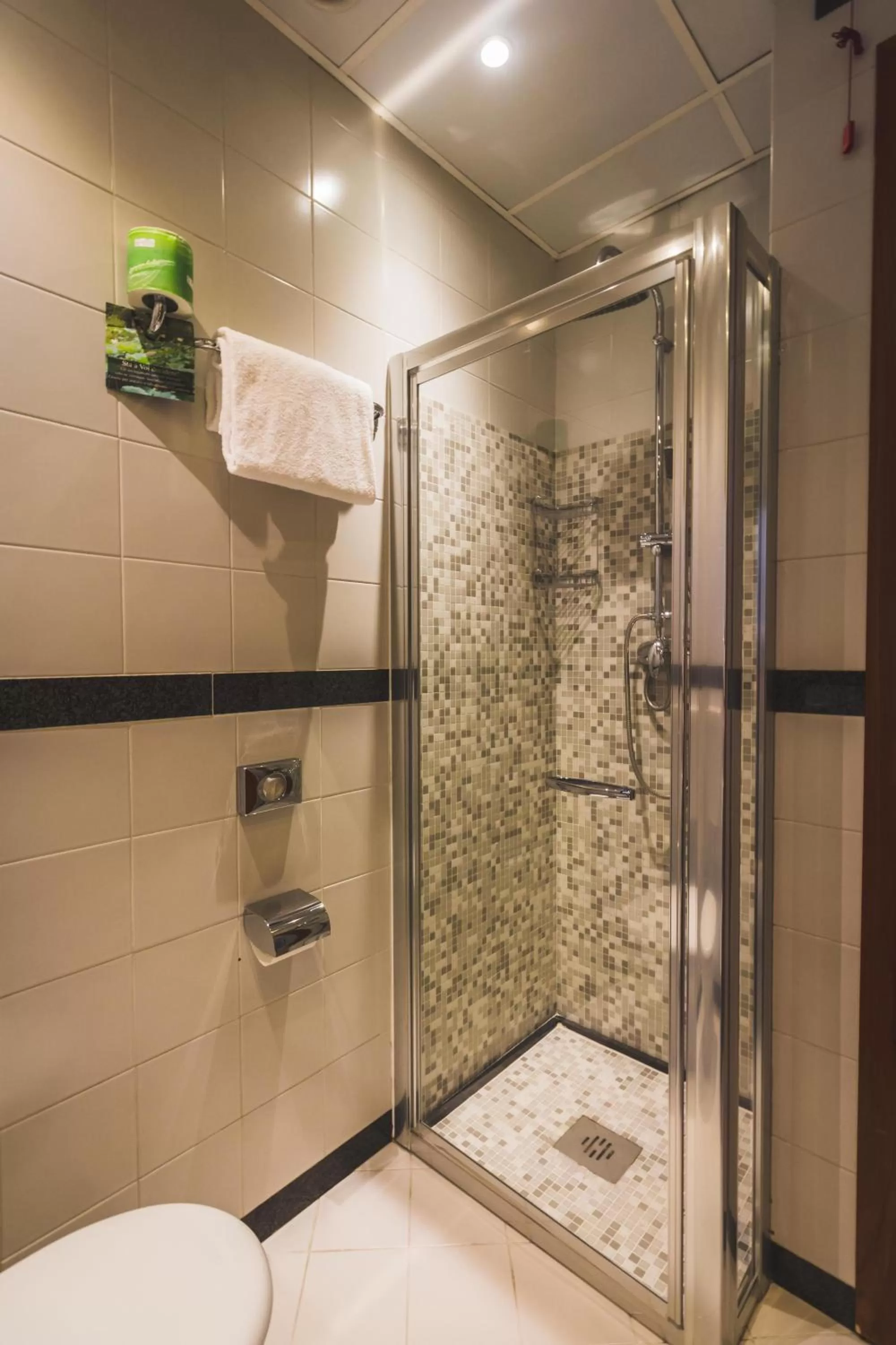 Shower in Park Hotel Ai Pini & Restaurant Ai Pini