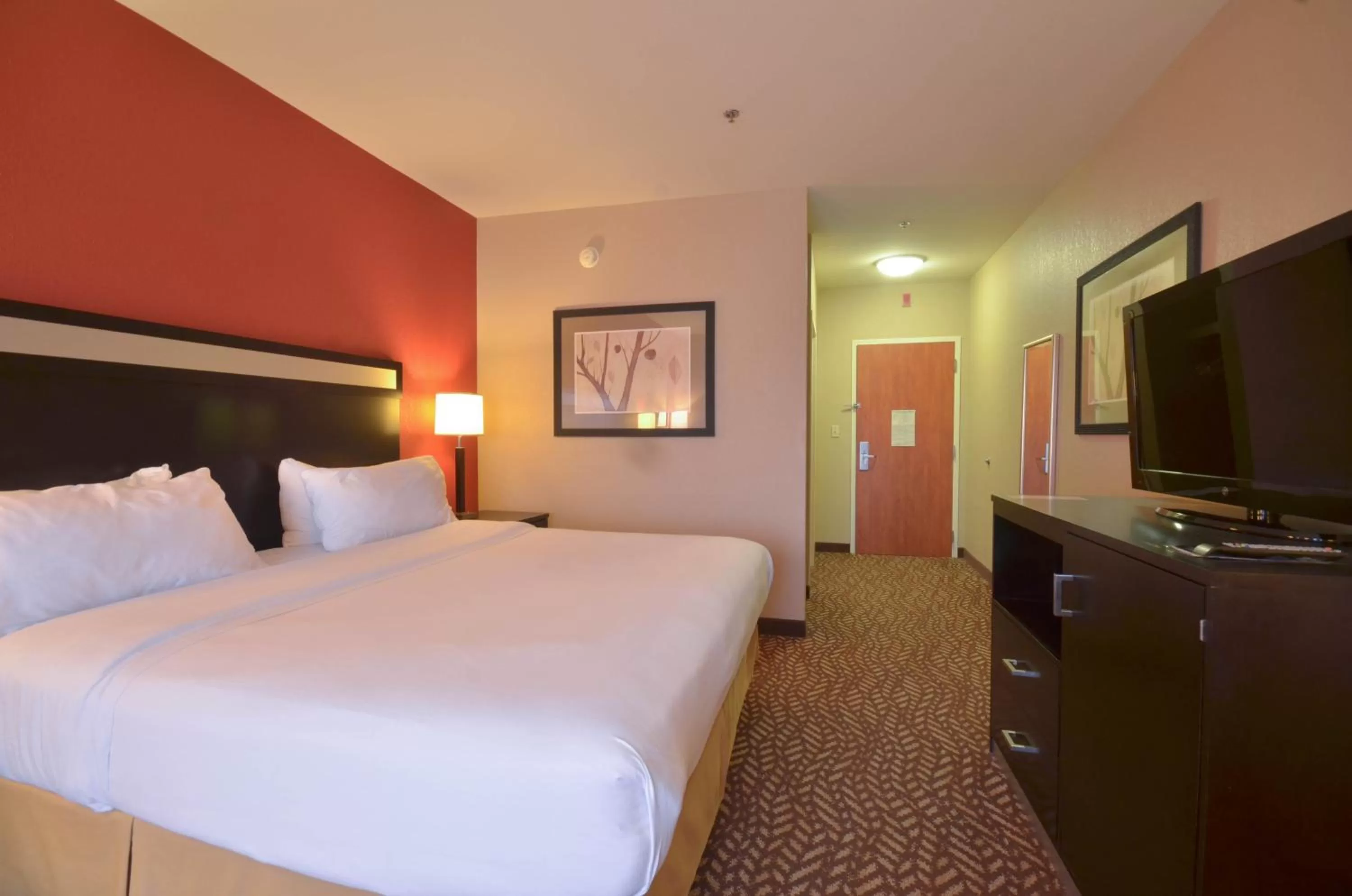 Photo of the whole room, Bed in Holiday Inn Express & Suites Pine Bluff/Pines Mall by IHG