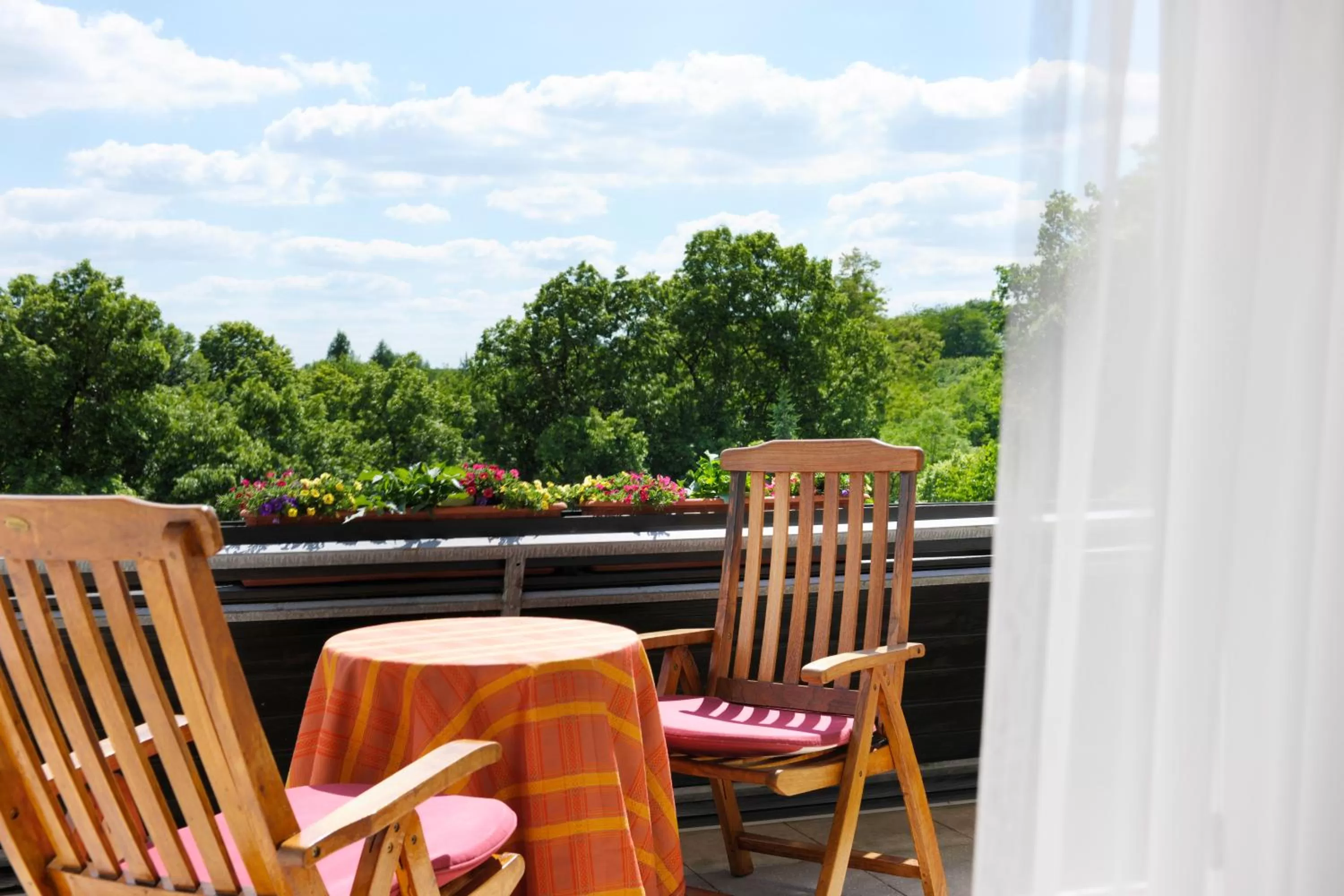 View (from property/room) in Hotel Bergschlößchen