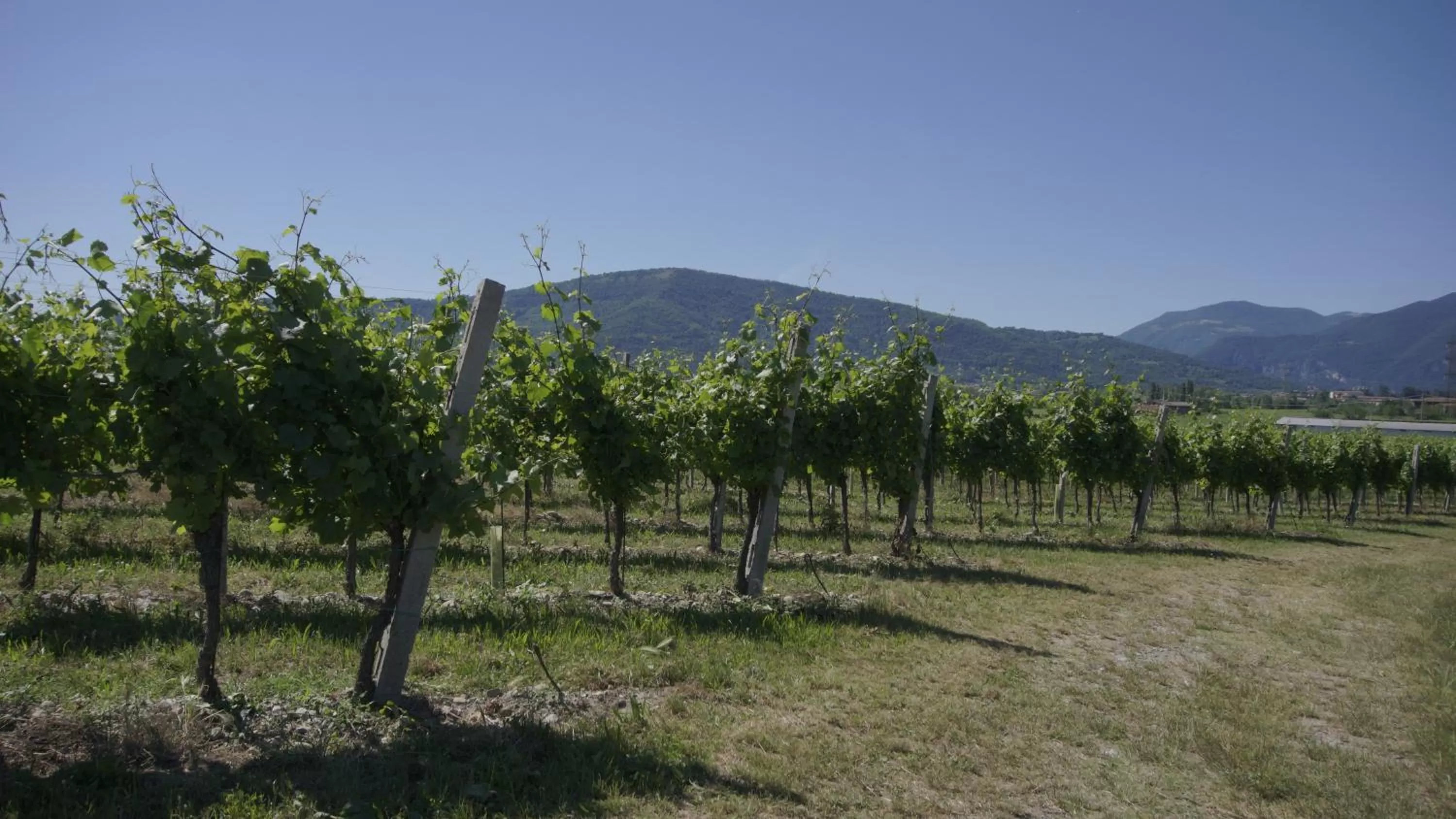 B&B CORTE SANT'ANGELO