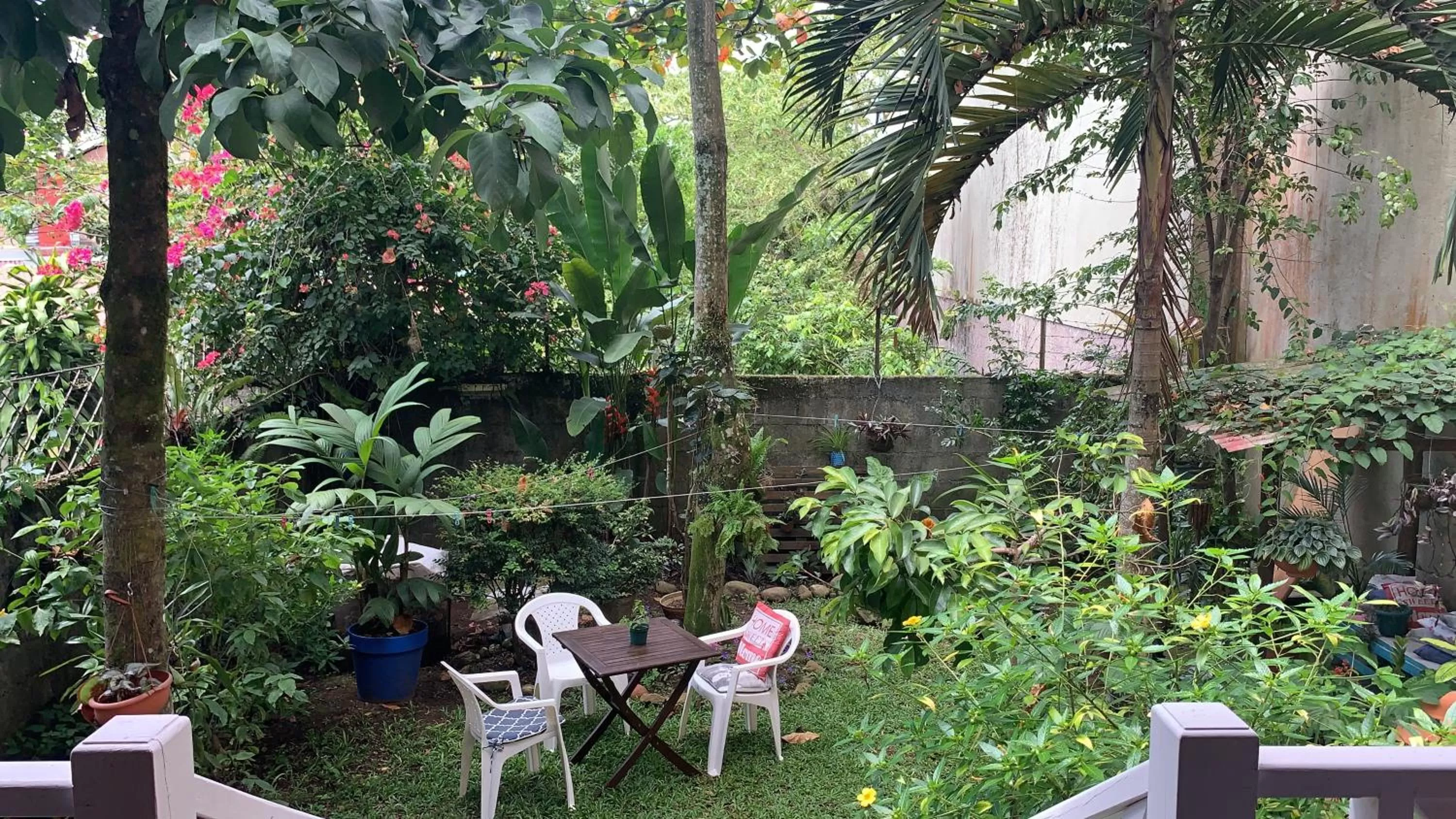 Property building, Garden in Casa de Lis Hotel & Tourist Info Centre