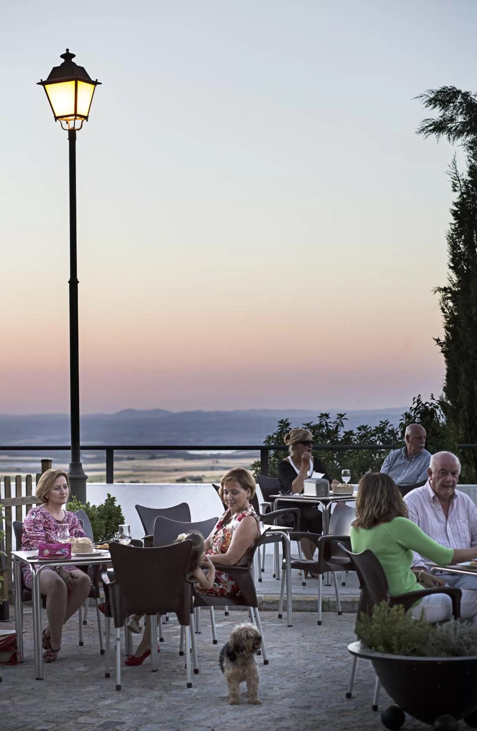 Restaurant/places to eat in Hotel Alcázar de la Reina