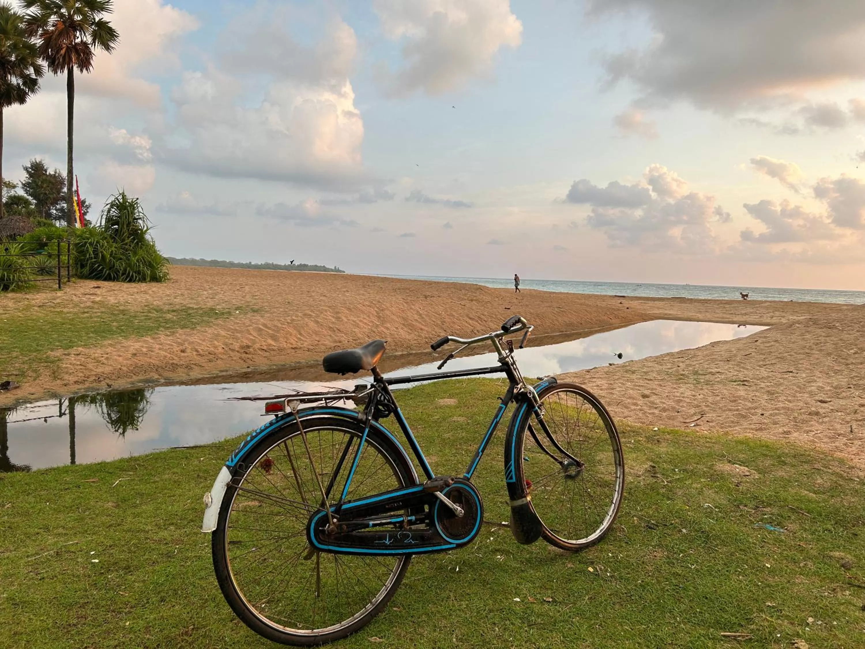 Day in 108 Palms Beach Resort