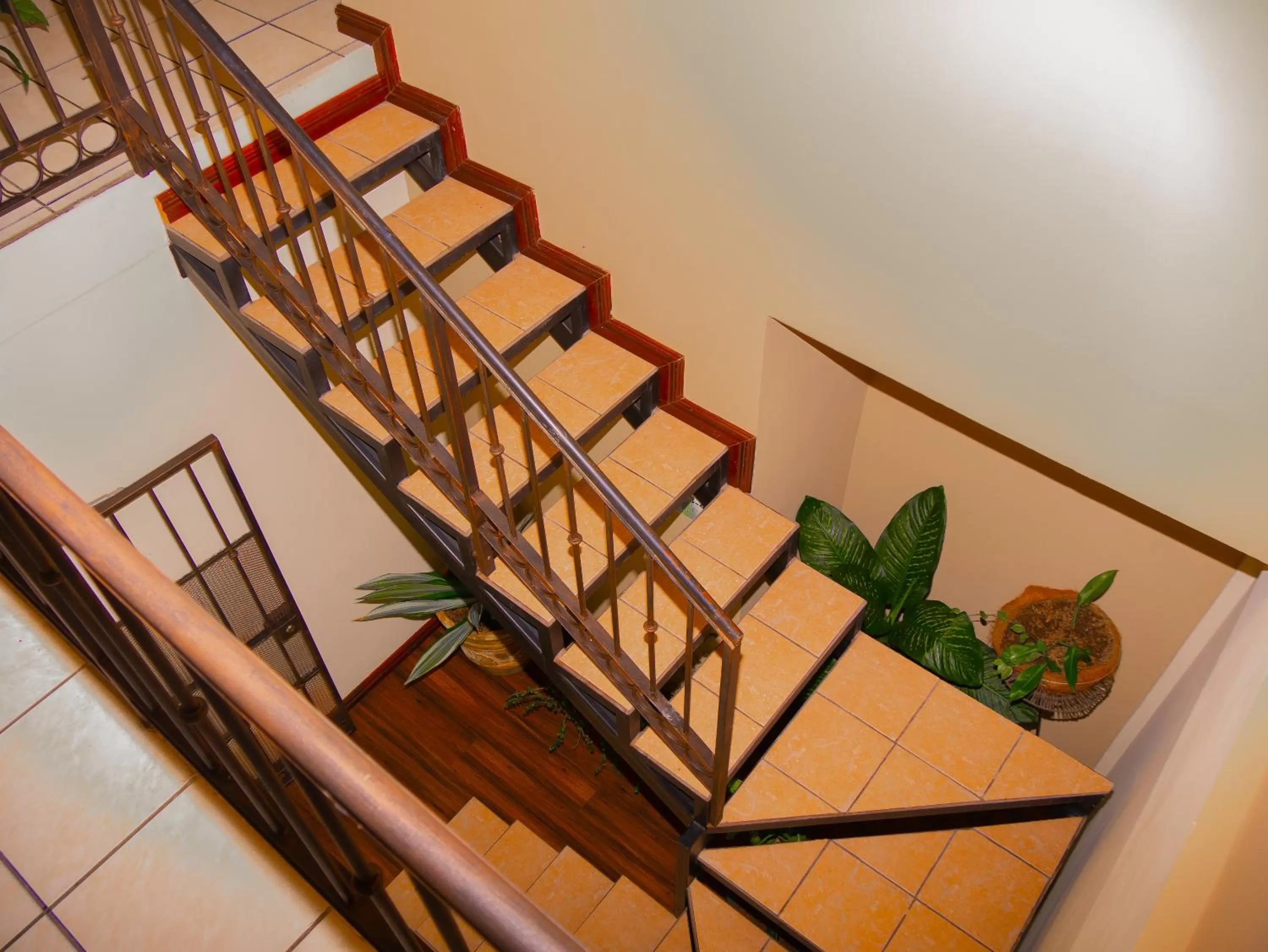 Property building in Hotel Bamboo Aeropuerto