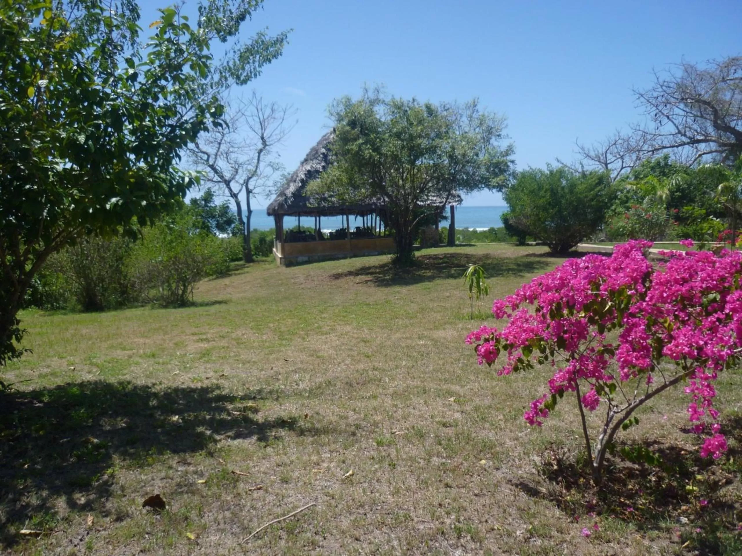 Restaurant/places to eat, Garden in Bahari Pori Resort