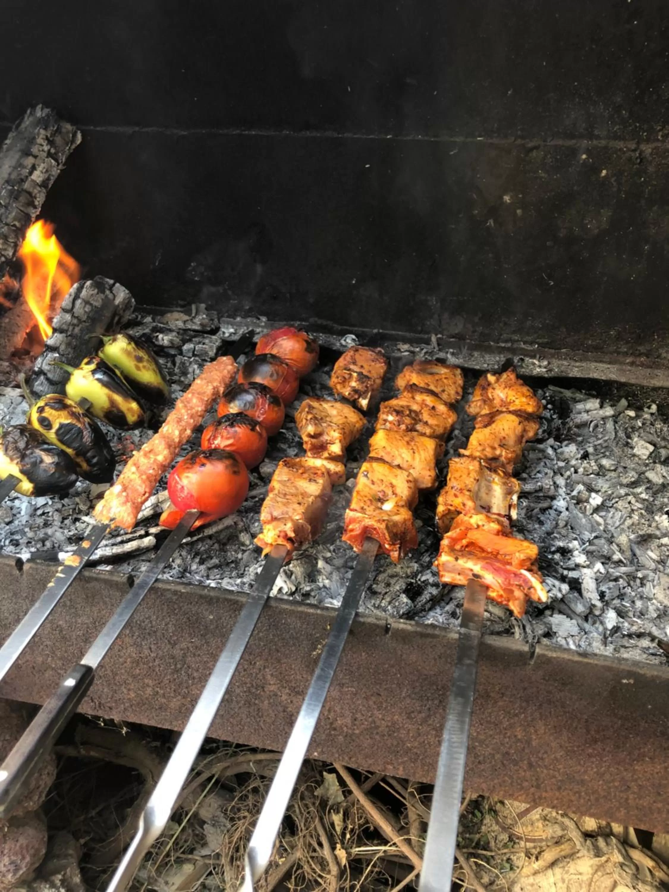 BBQ Facilities in Elross Hotel