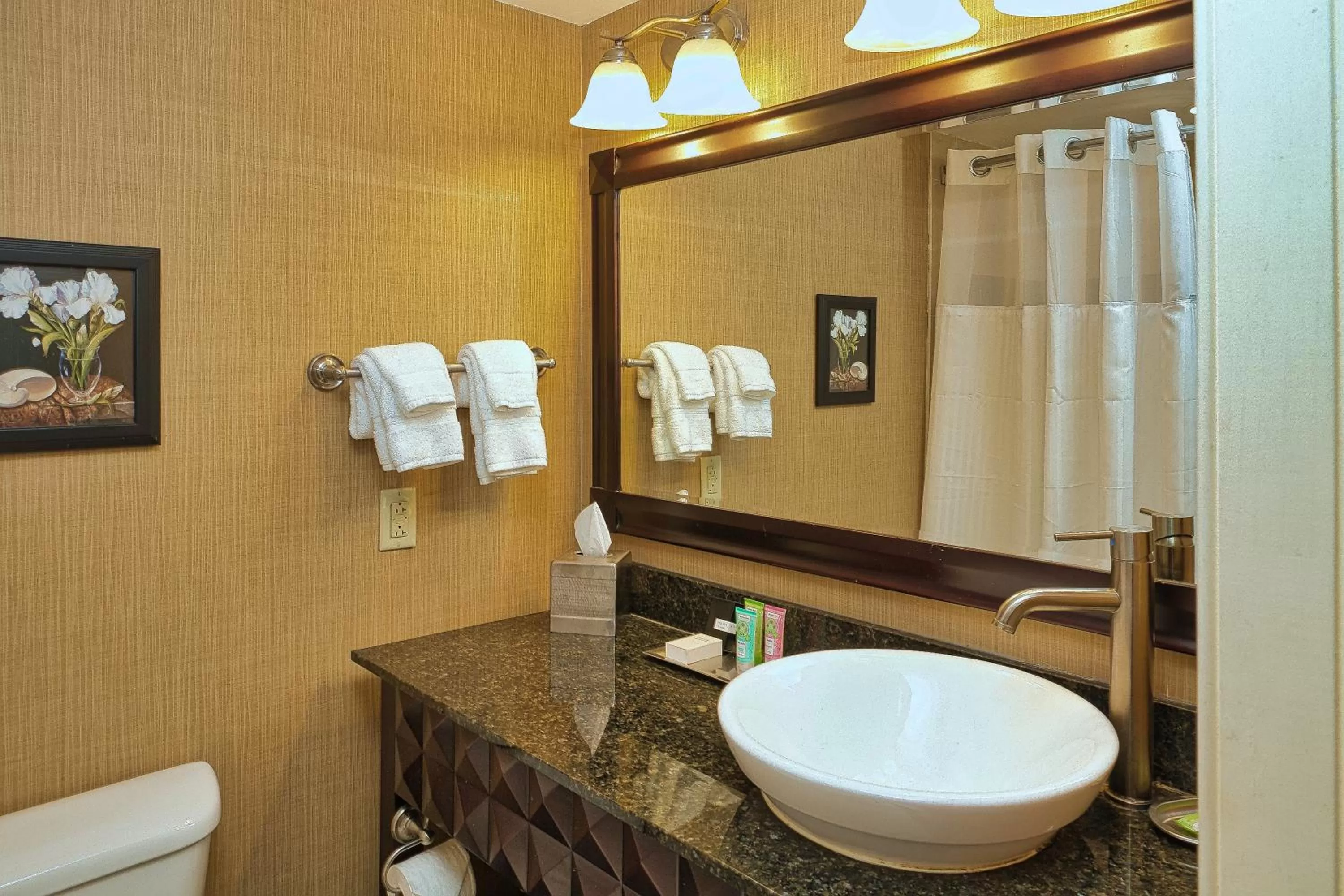 Bathroom in Wyndham Grand Pittsburgh