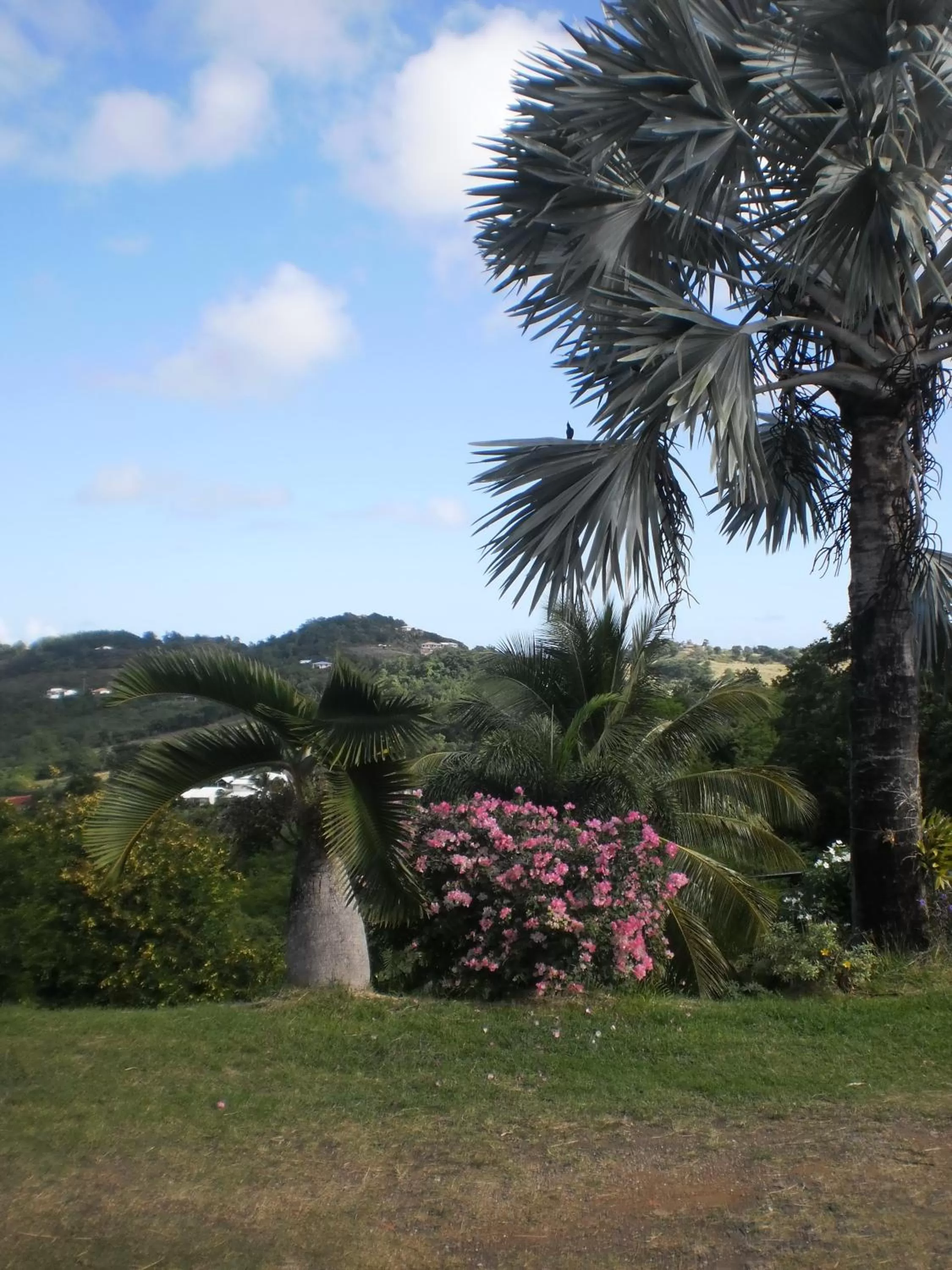 Day, Garden in Bed and breakfast Riviere