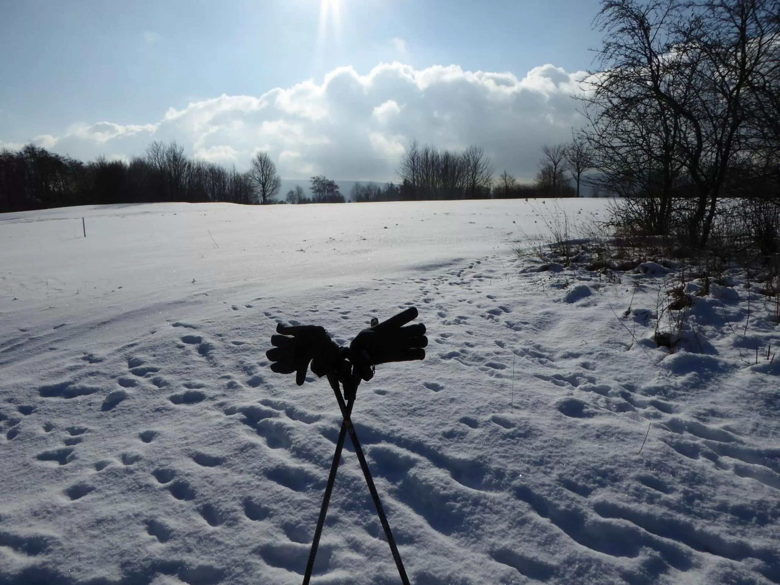 Nearby landmark, Winter in Sonnenhof