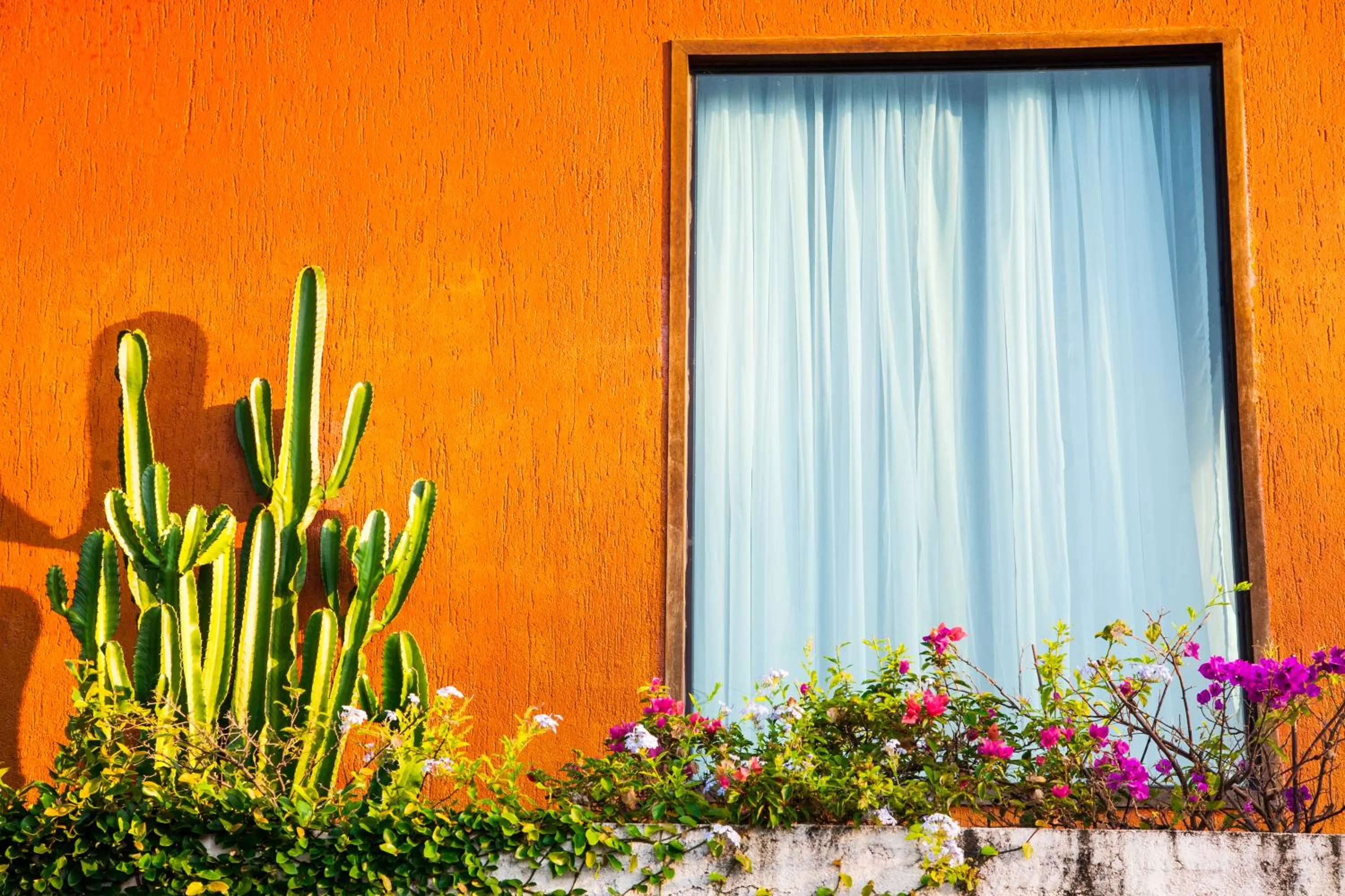 Other in BemTeVi Em Búzios