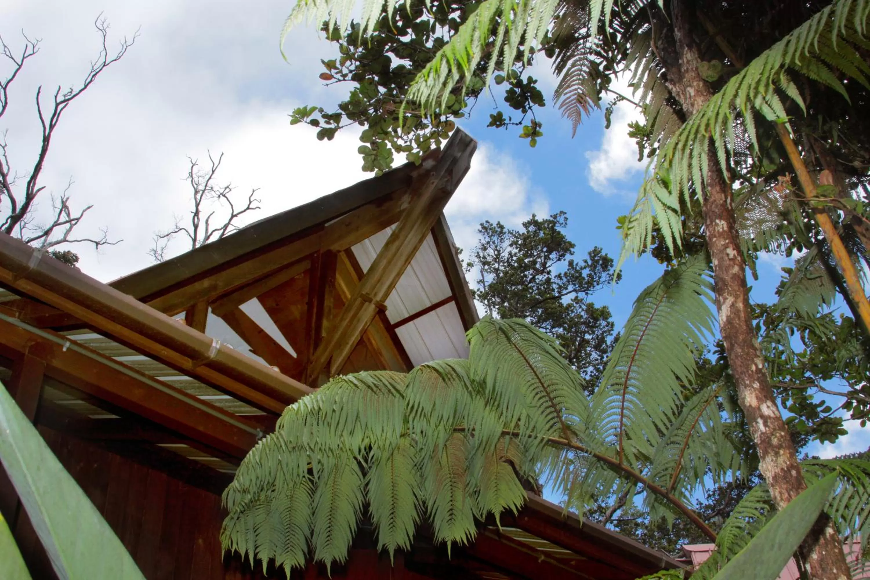 Property Building in Lotus Garden Cottages