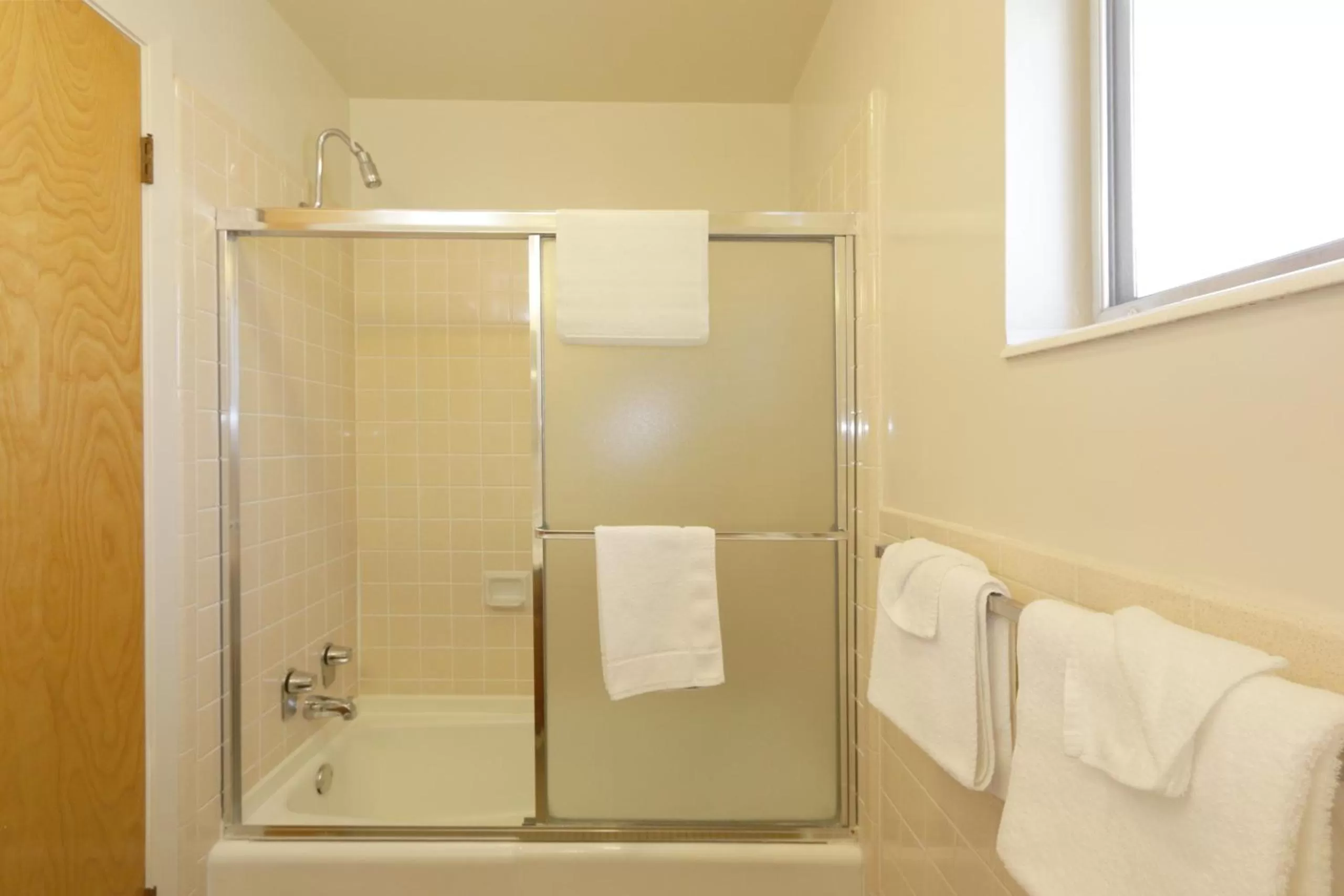 Shower in Town House Motel