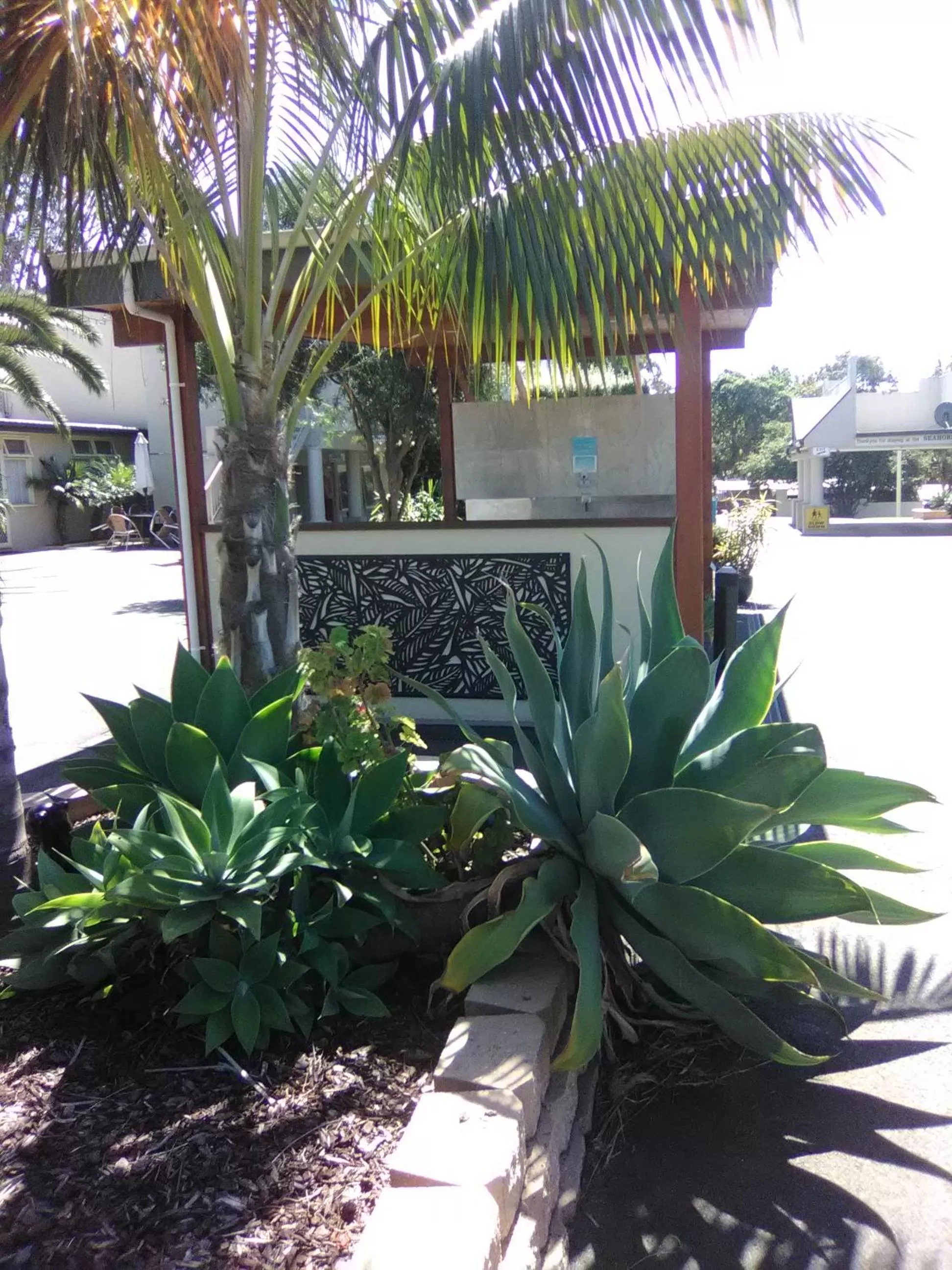 Garden in Seahorse Motel Cowes