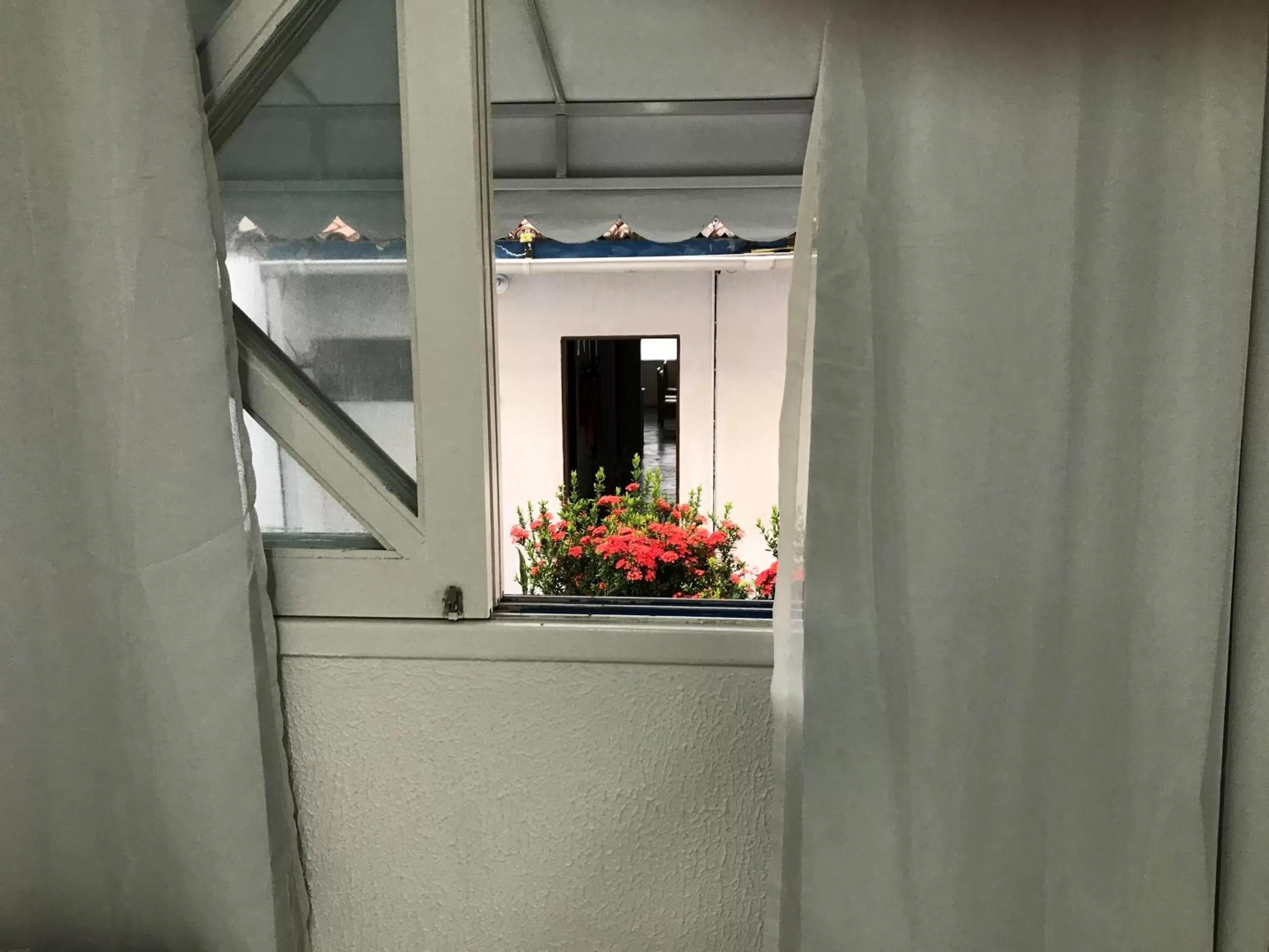 Garden view in Pousada America do Sol