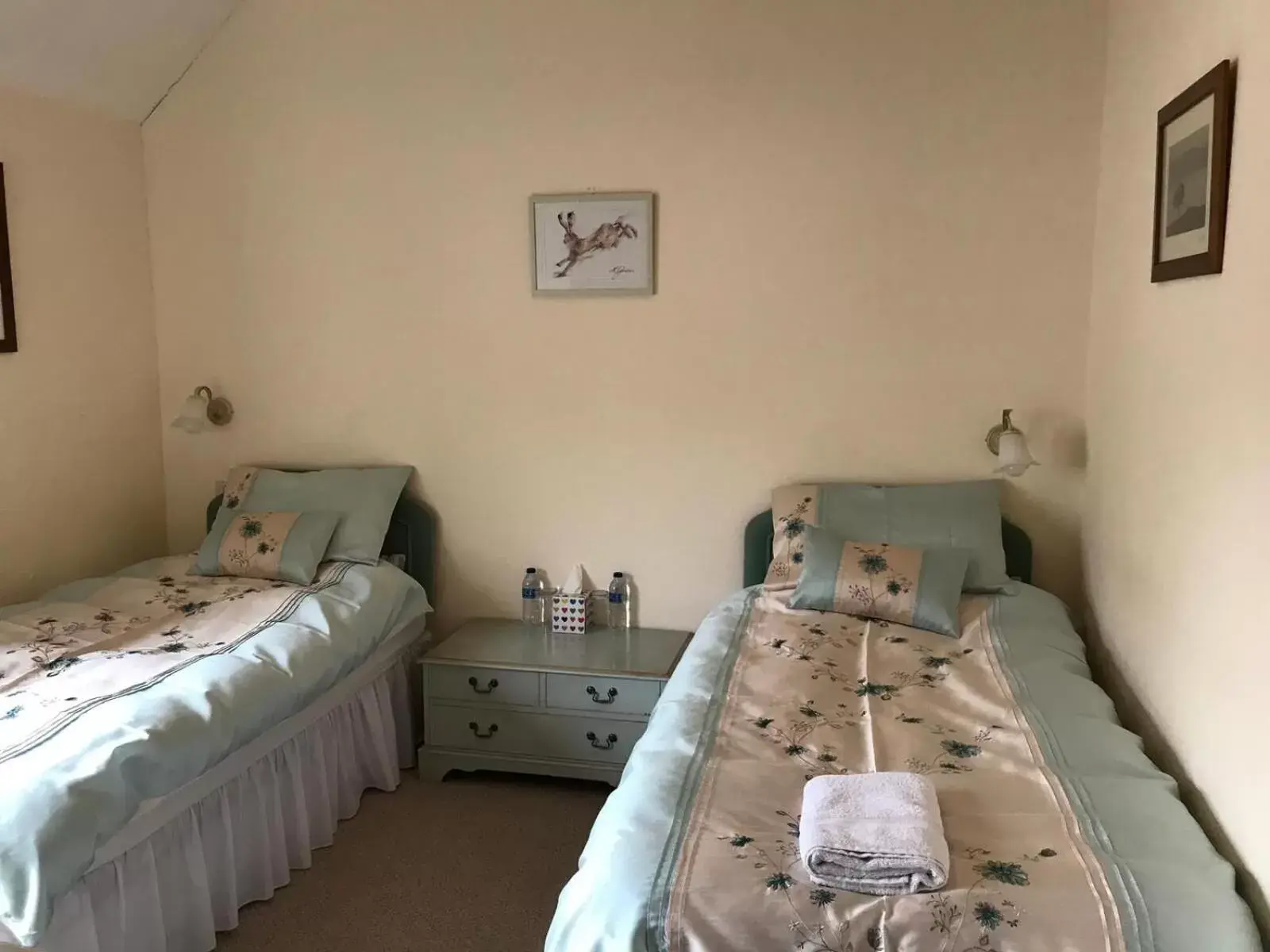 Small Twin Room in The Carew Arms Small Twin Room in The Carew Arms