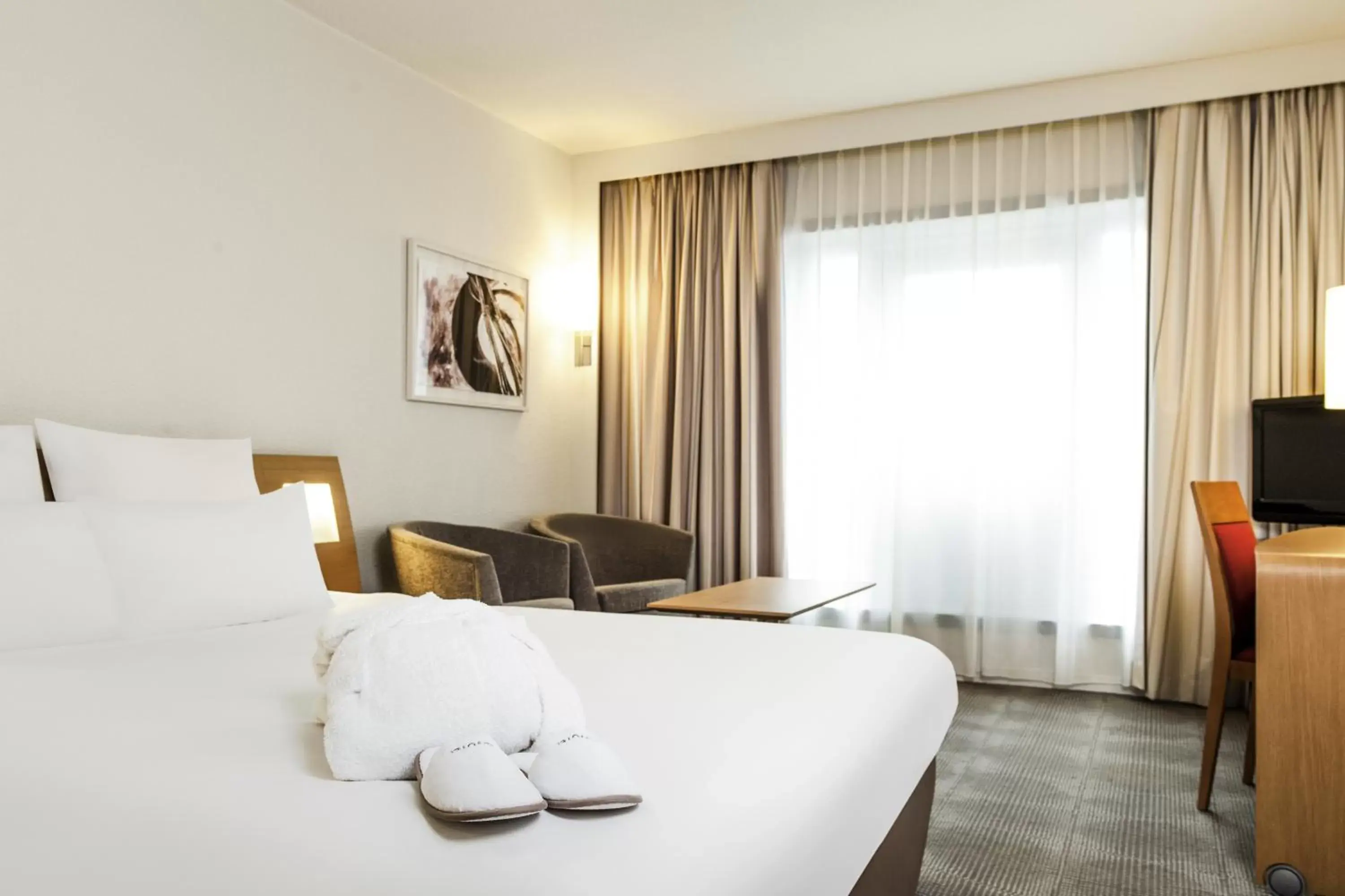 Executive Queen Room in Novotel Gent Centrum Executive Queen Room in Novotel Gent Centrum