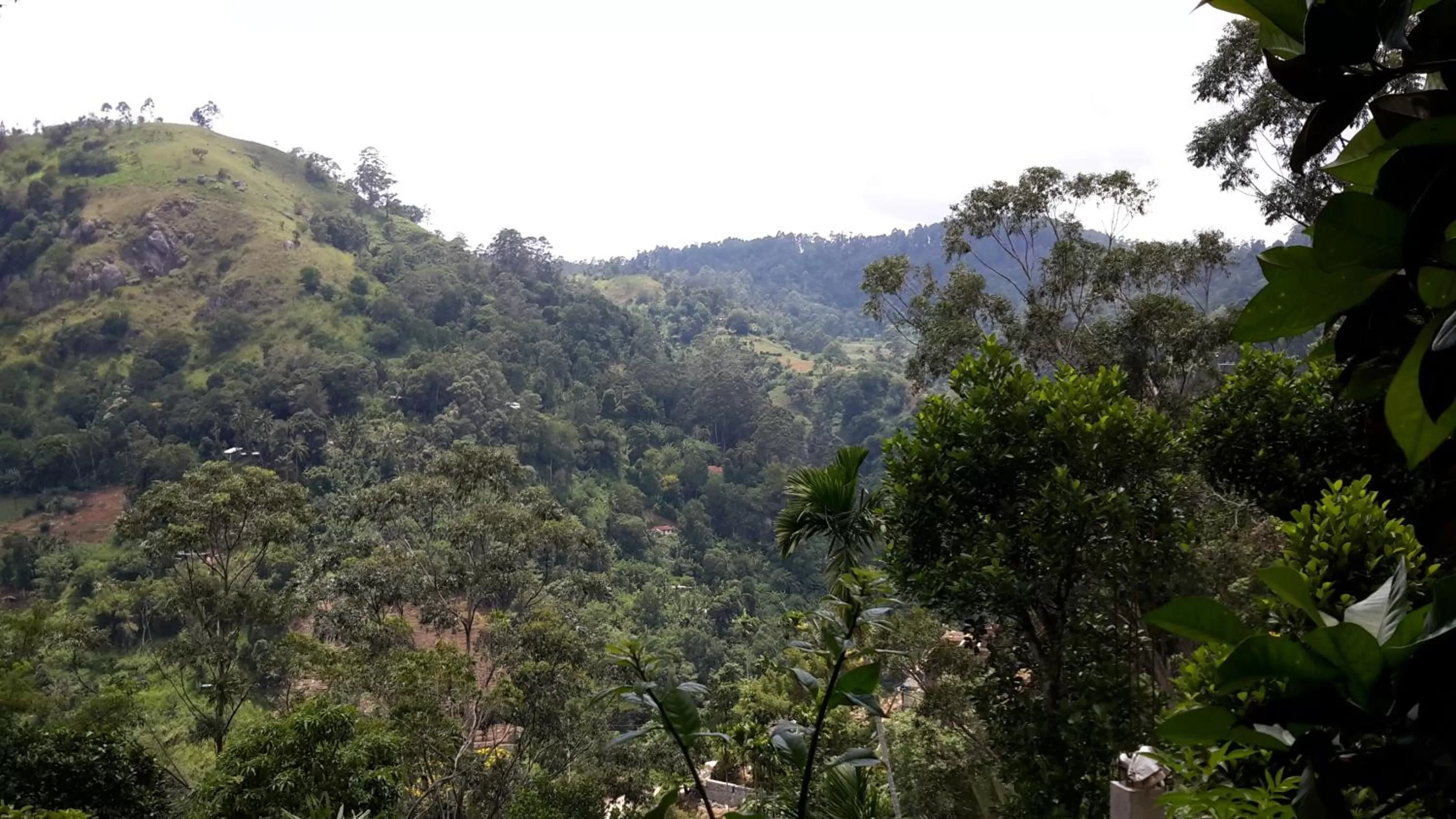 View (from property/room), Mountain View in Raveena Guest House