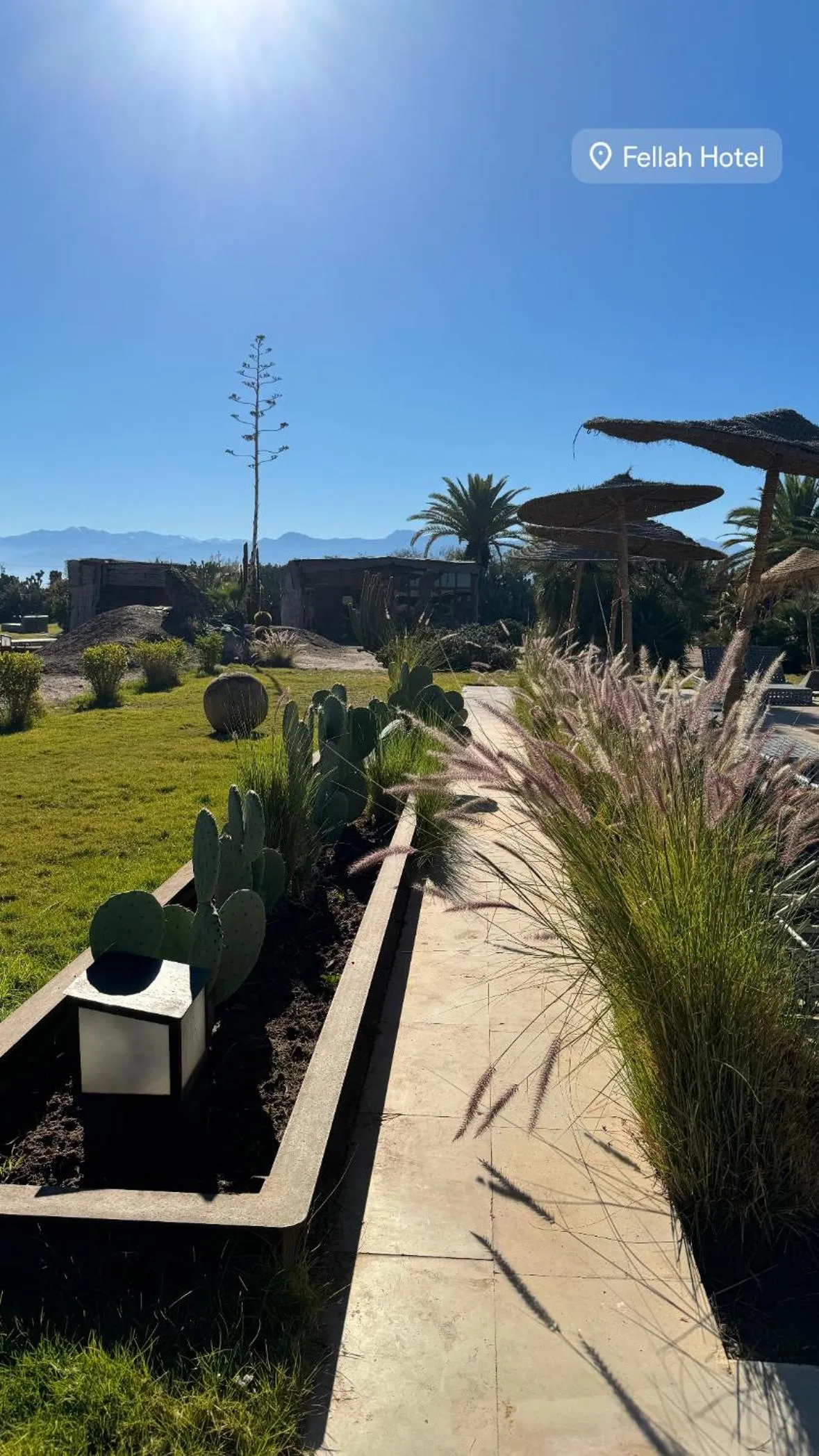 Garden view in Fellah Hotel