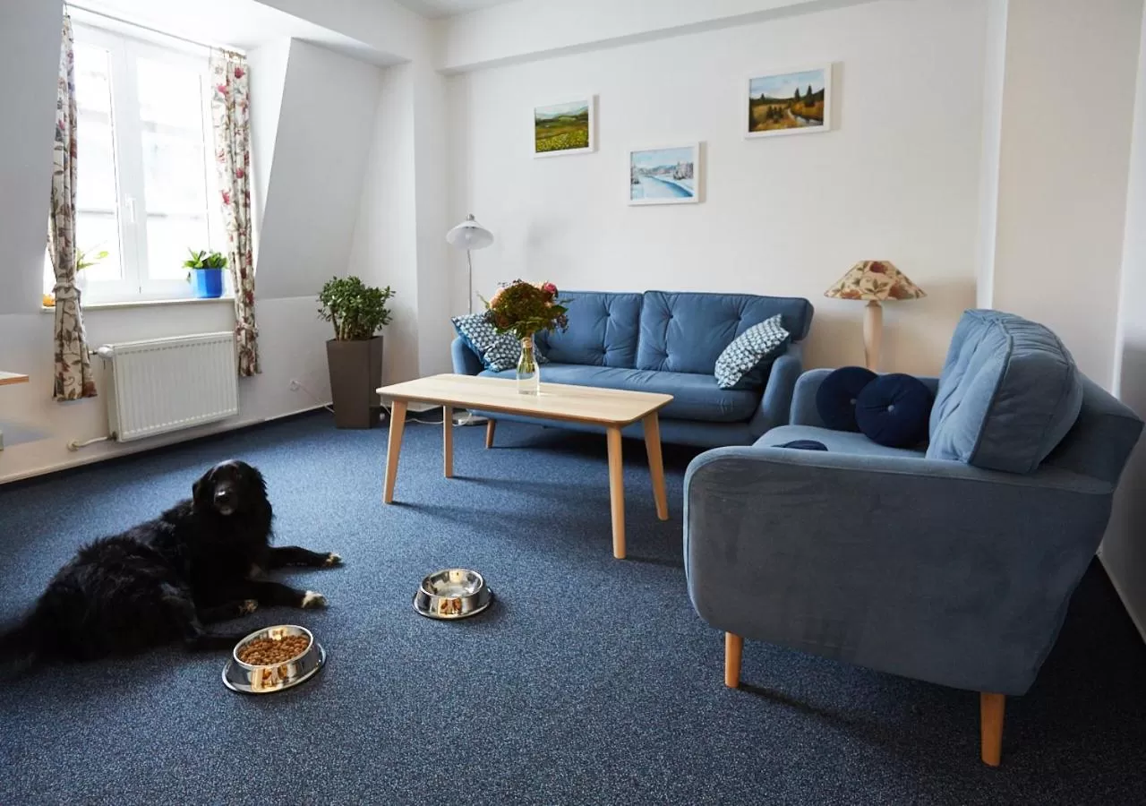 Area and facilities in Hotel Rehavital