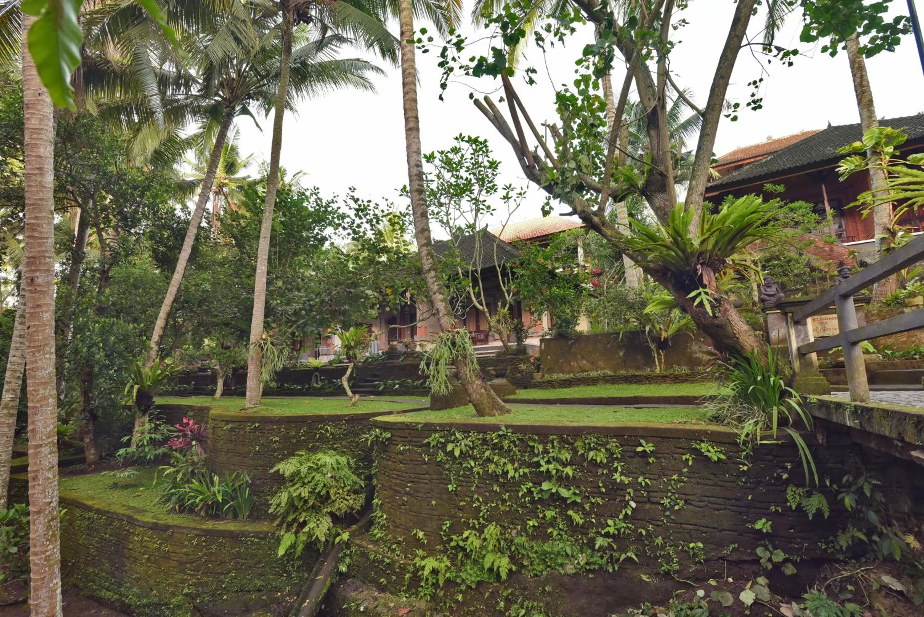 View (from property/room) in Nick's Pension