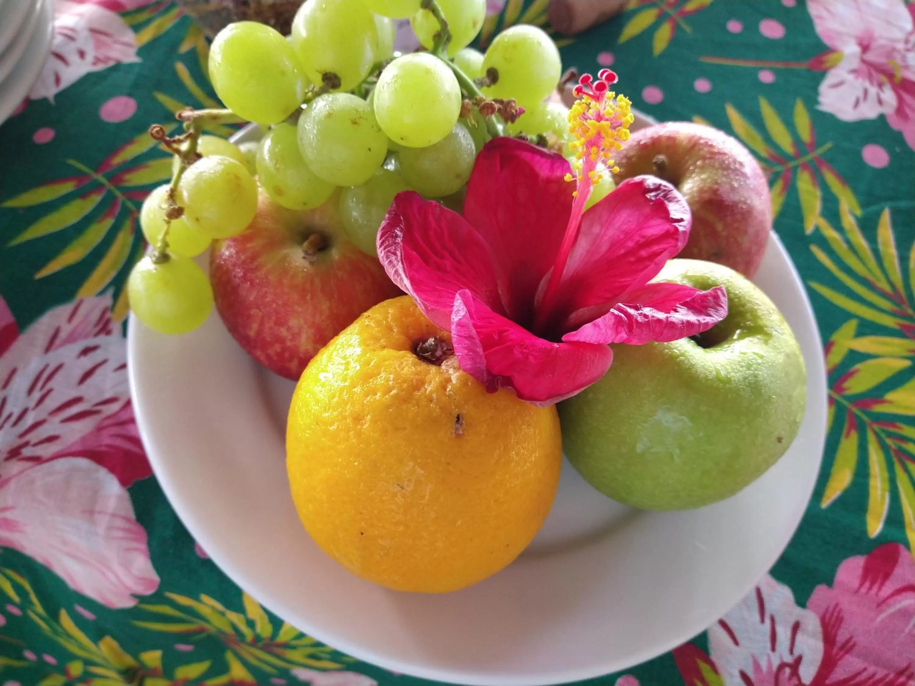 Food in Pousada Bahia Boa