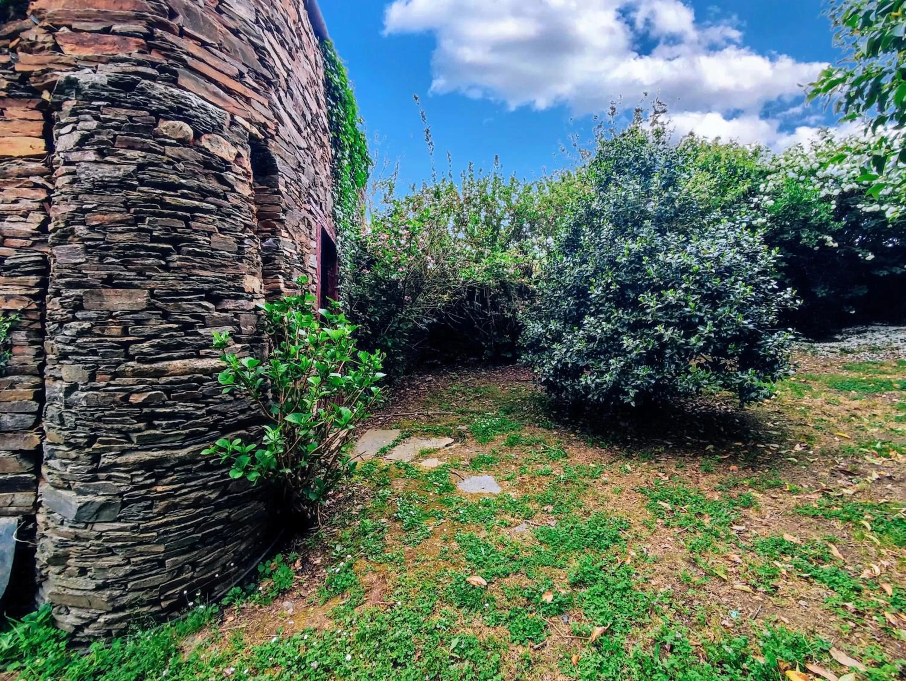 pet friendly, Garden in Hotel Casa de Díaz