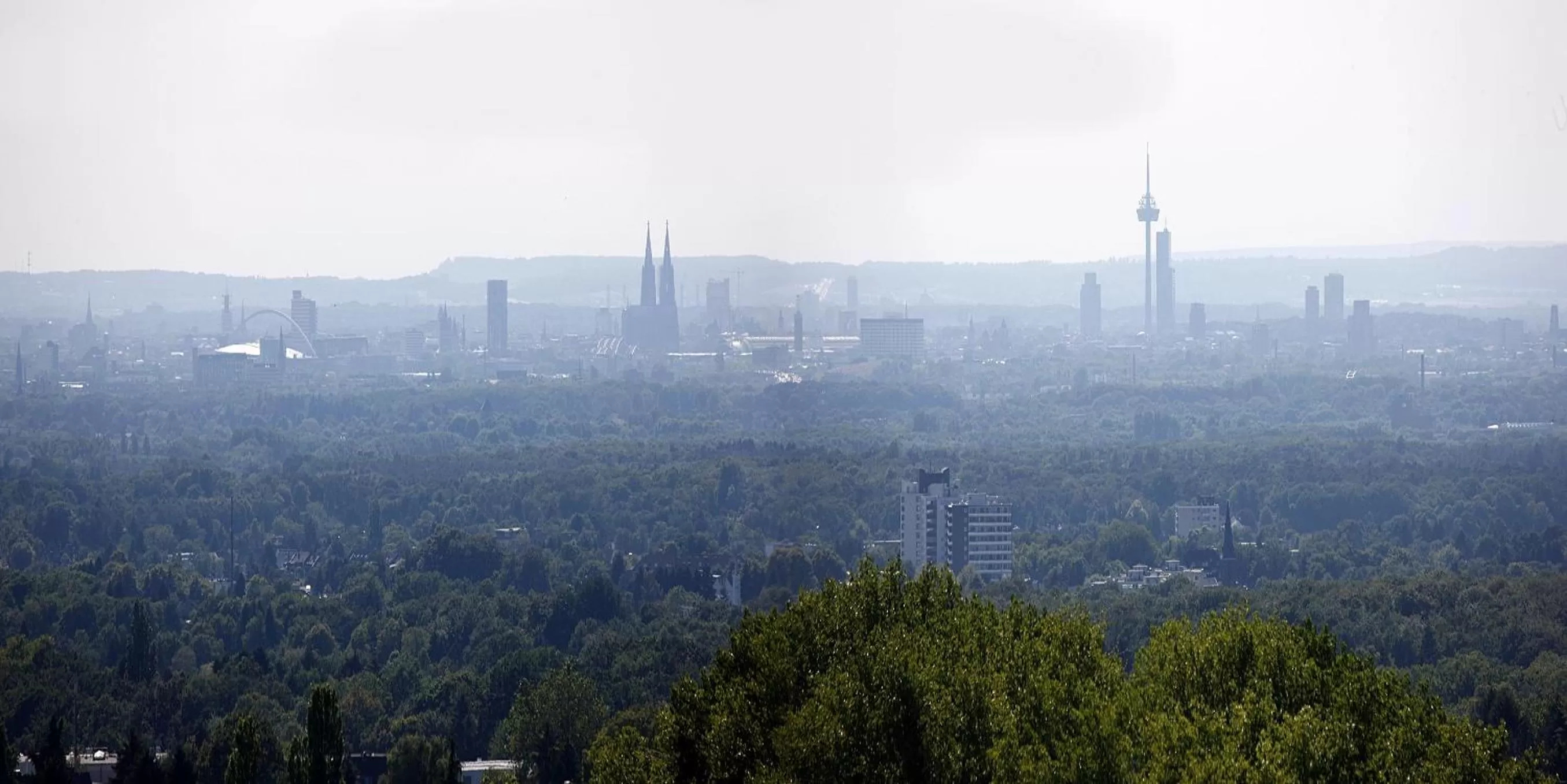 View (from property/room) in Kardinal Schulte Haus