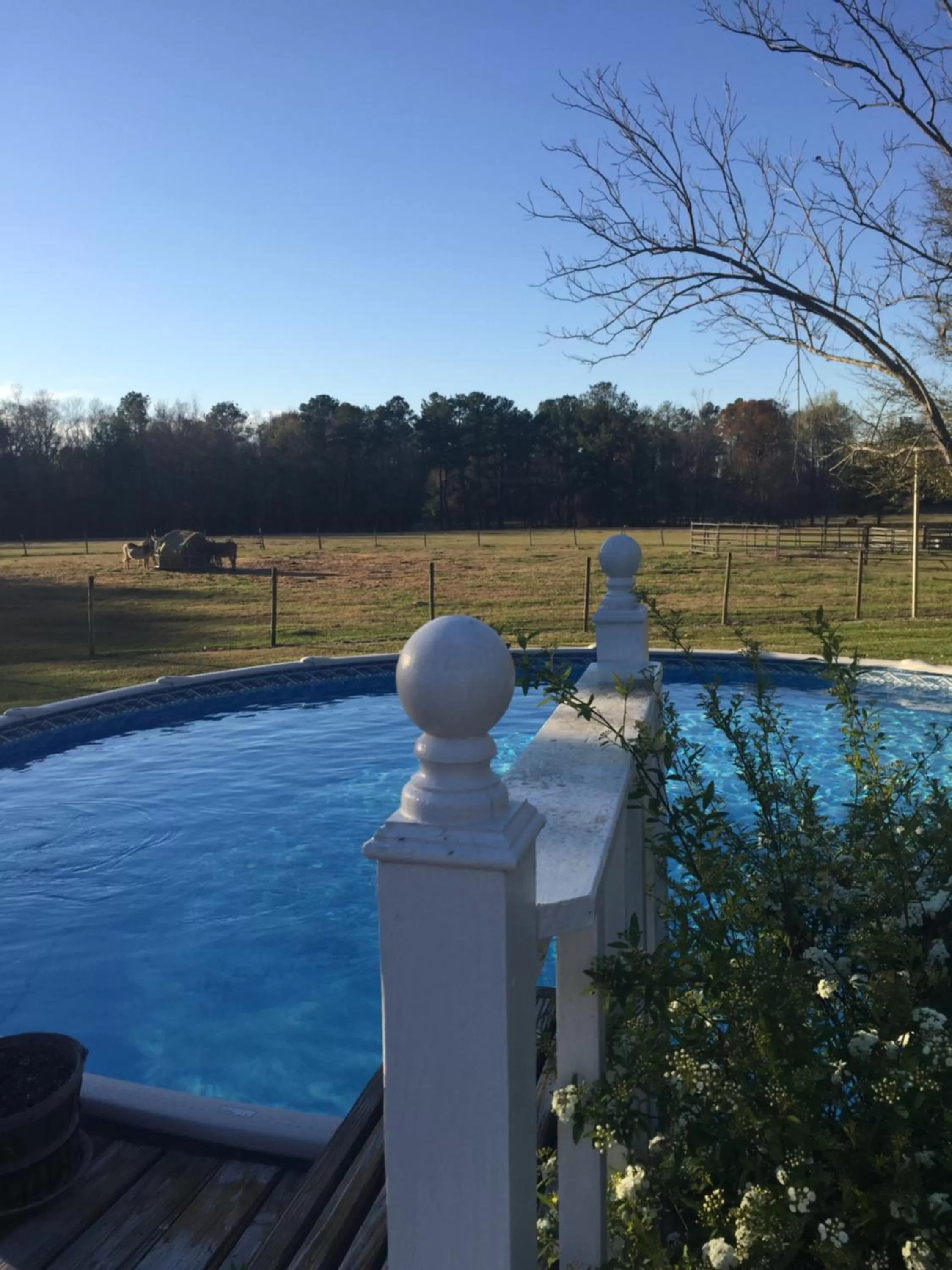 Swimming pool in Dublin Farm