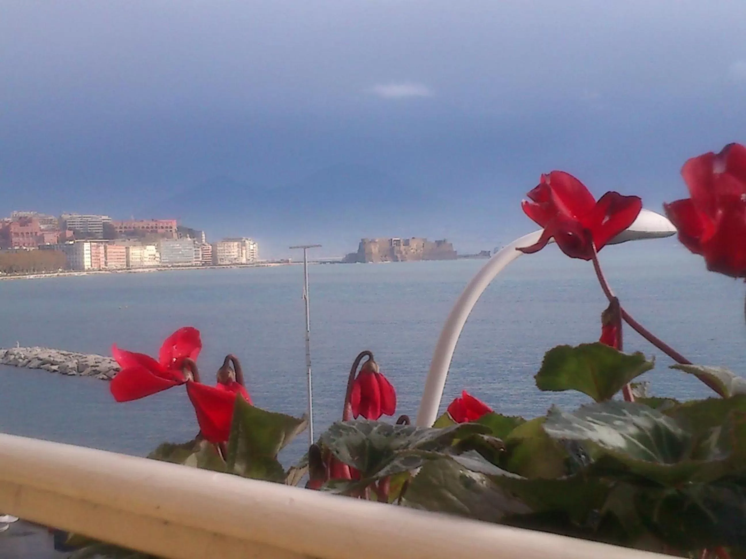 Area and facilities in B&B Platamon