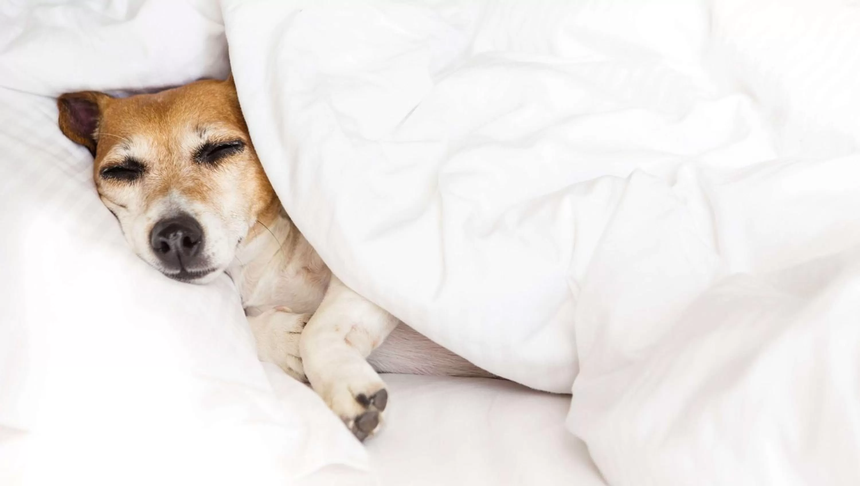 Photo of the whole room in Jasper Ridge Inn Ishpeming