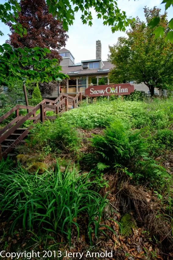 Facade/entrance in Snowy Owl Inn