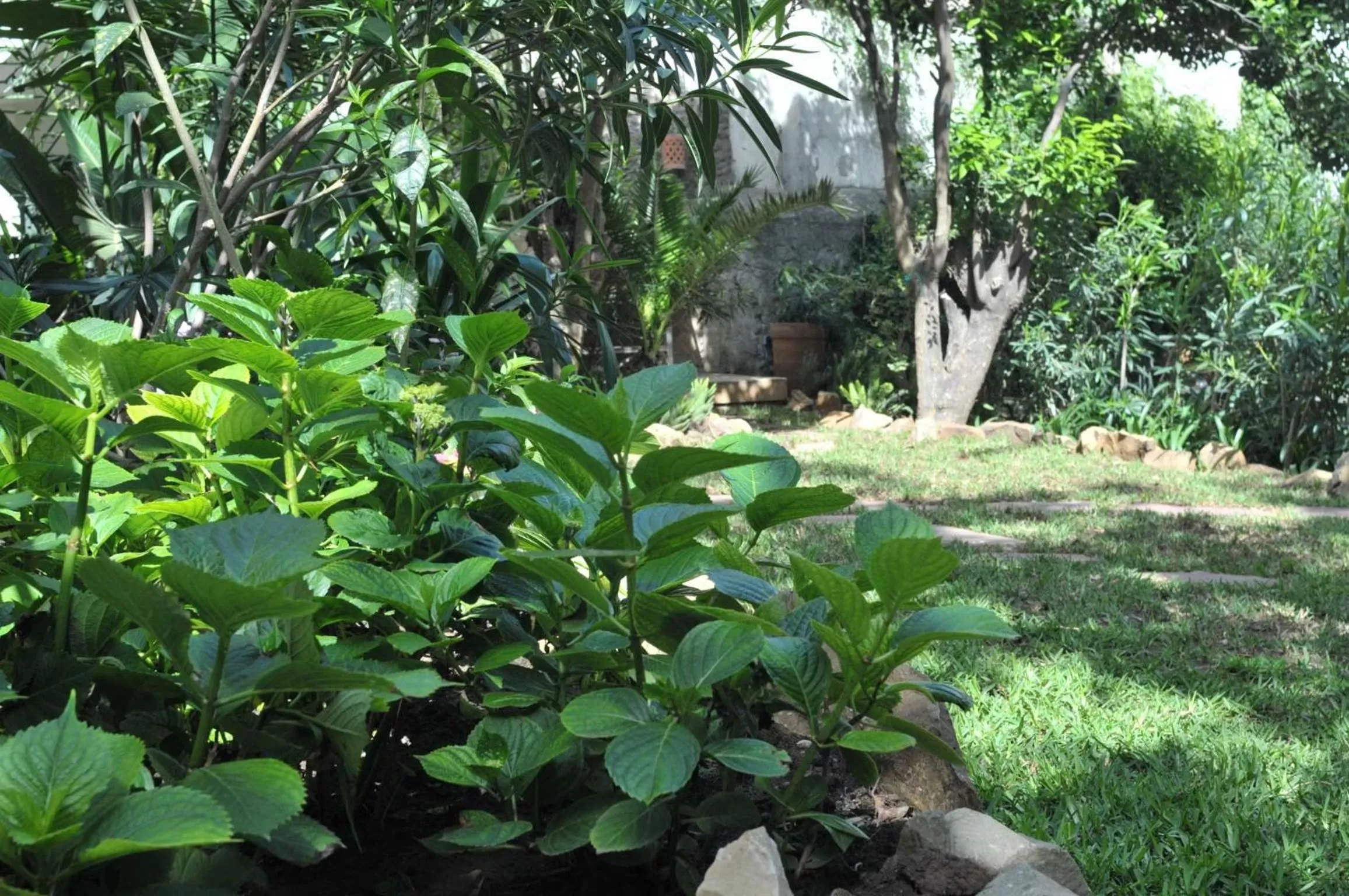 Property building in La Maison de Tanger