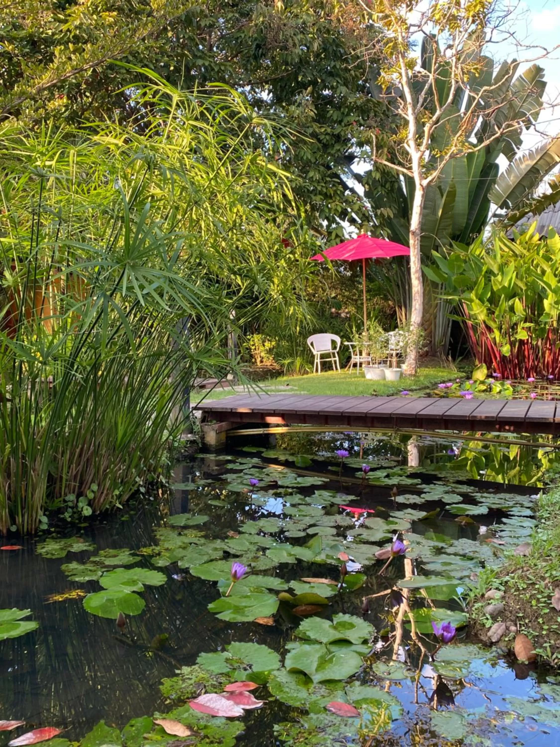 Garden in Pura Vida Pai Resort