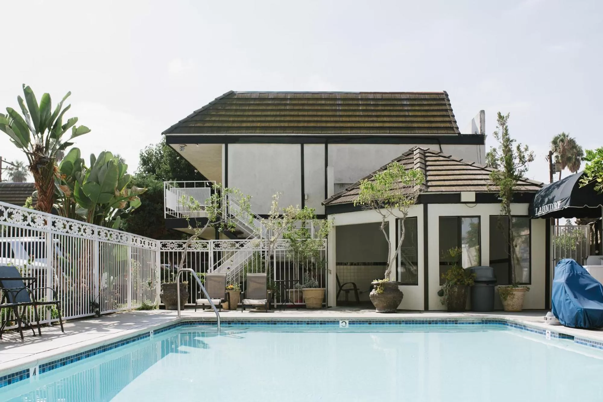 Swimming pool in Alamo Inn and Suites - Convention Center