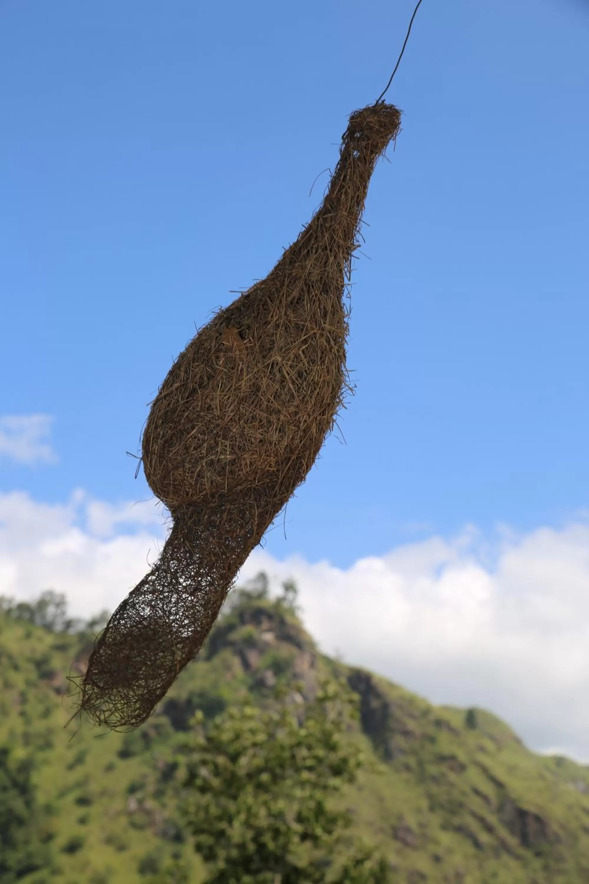 Natural landscape in Ella River Face Inn