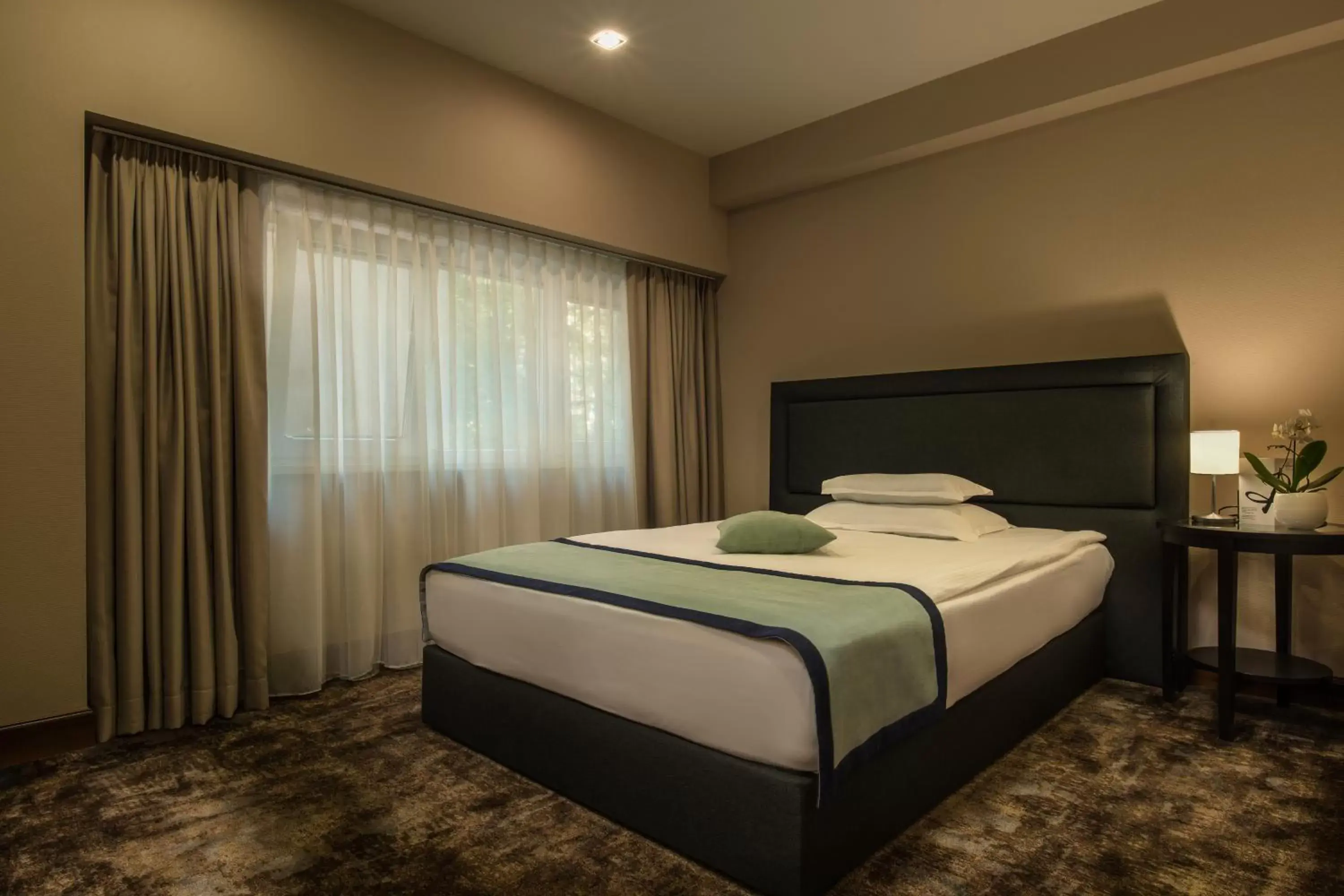 Economy Single Room in Rosslyn Thracia Hotel Sofia Economy Single Room in Rosslyn Thracia Hotel Sofia