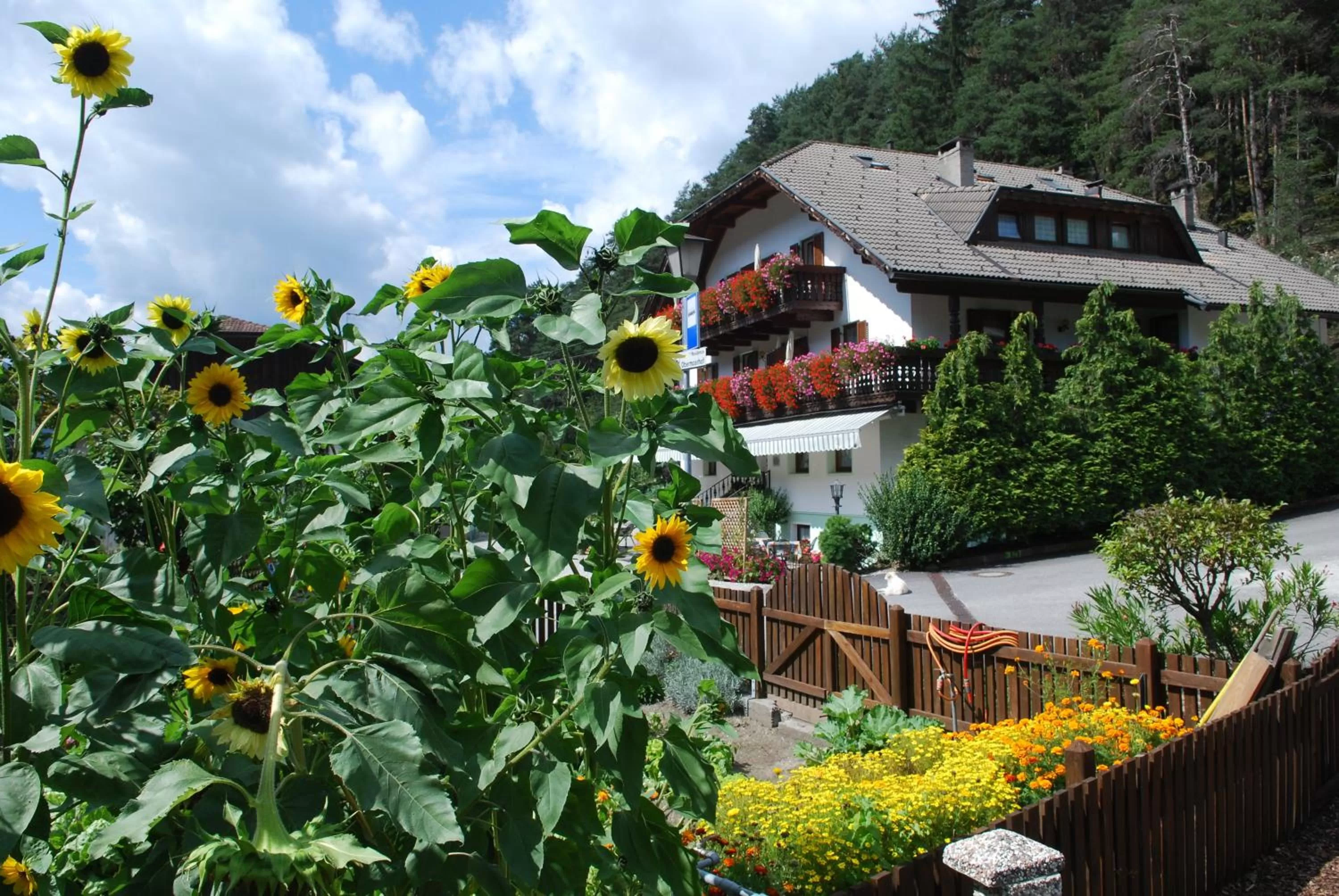 Facade/entrance, Property Building in Residence Obermoarhof