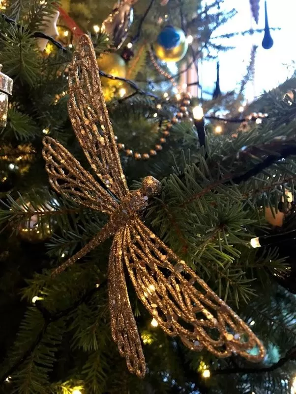 Lobby or reception, Other Animals in The Residence at Bolenna