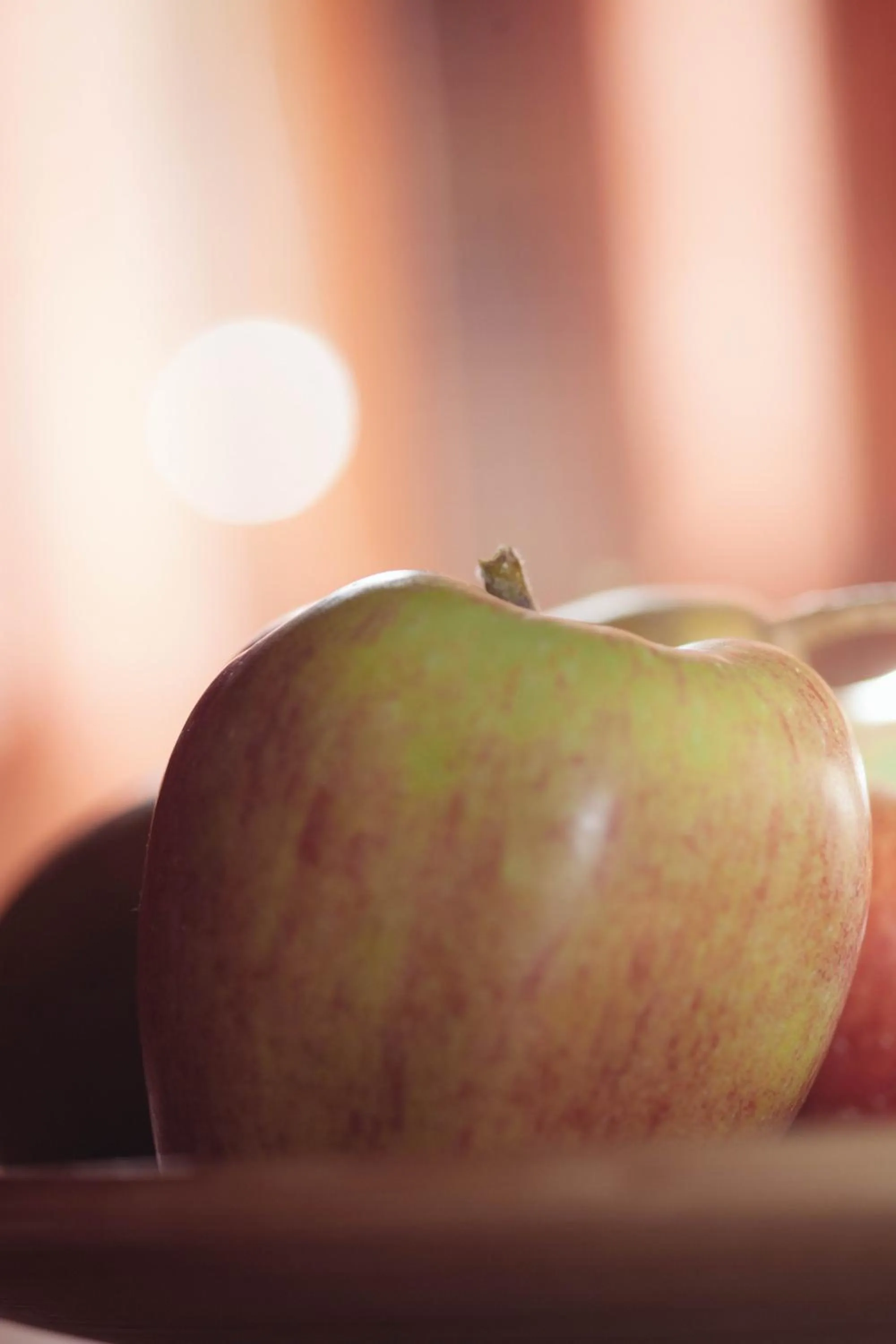 Photo of the whole room in Pineta Nature Resort - Wellness & SPA