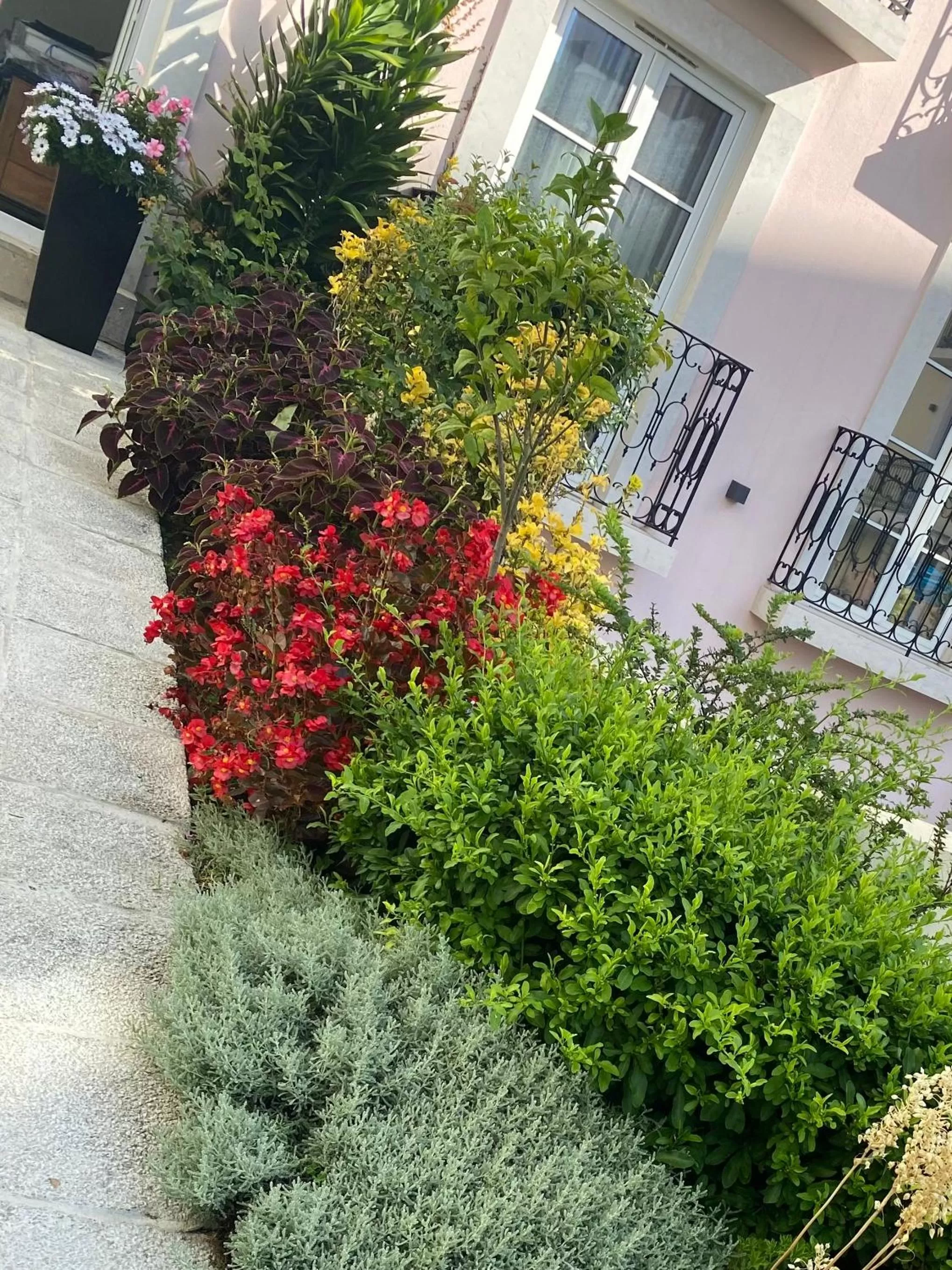 Property Building in TM Luxury Apartments Lisbon