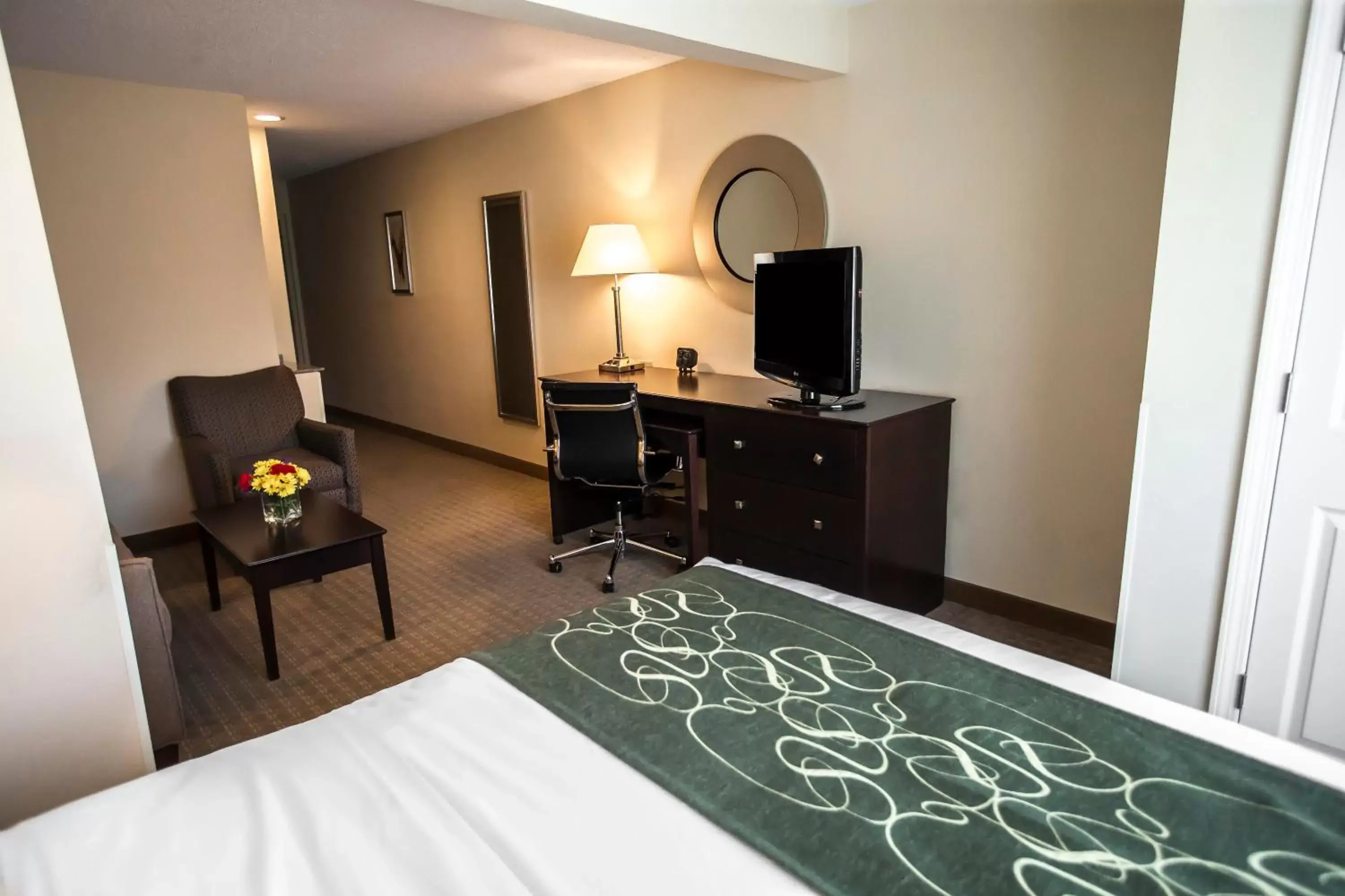 One Room Suite with Sofa bed - Non Smoking in Comfort Suites University Area Notre Dame-South Bend One Room Suite with Sofa bed - Non Smoking in Comfort Suites University Area Notre Dame-South Bend