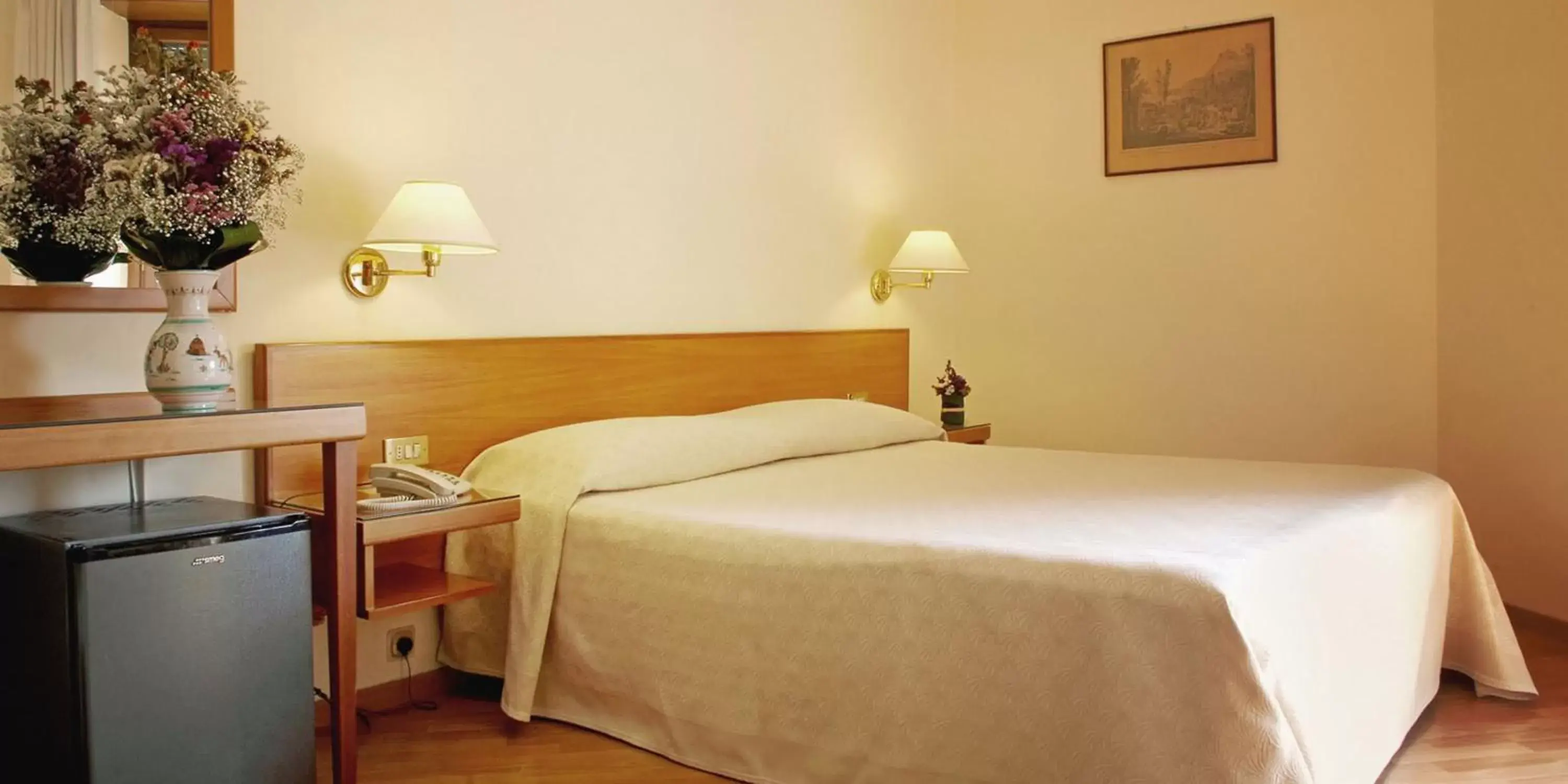 Double Room in Hotel Plaza Double Room in Hotel Plaza