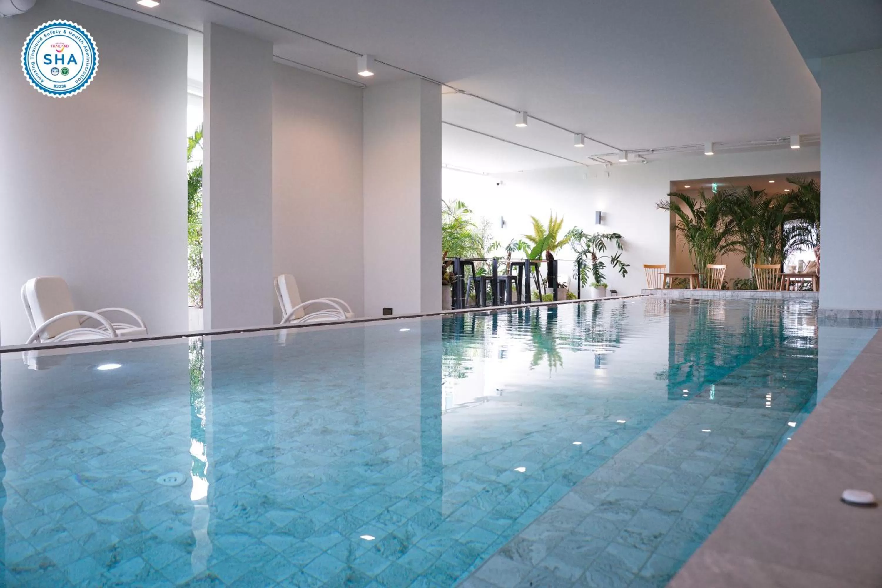 Swimming pool in The Rise Suites Hotel, Chiang Mai - SHA Extra Plus
